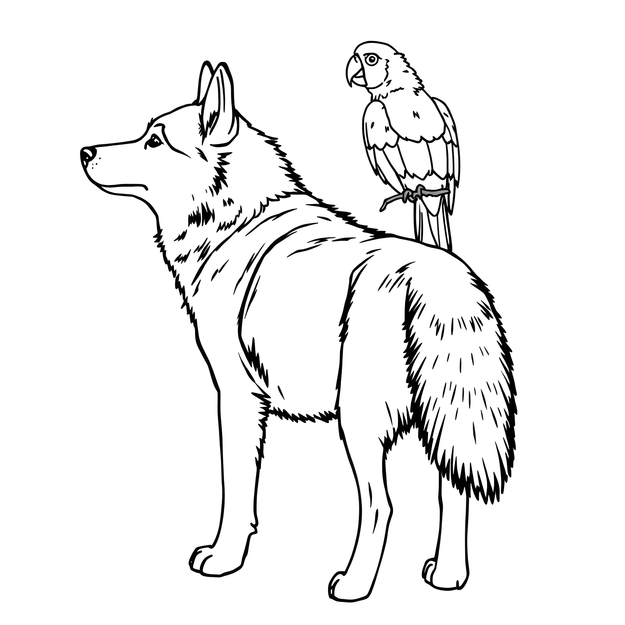 Husky dog and parrot standing together Coloring Page (free black-and-white line drawing printable PDF for all, from beginners to advanced learners, including children, teens, adults, and seniors)