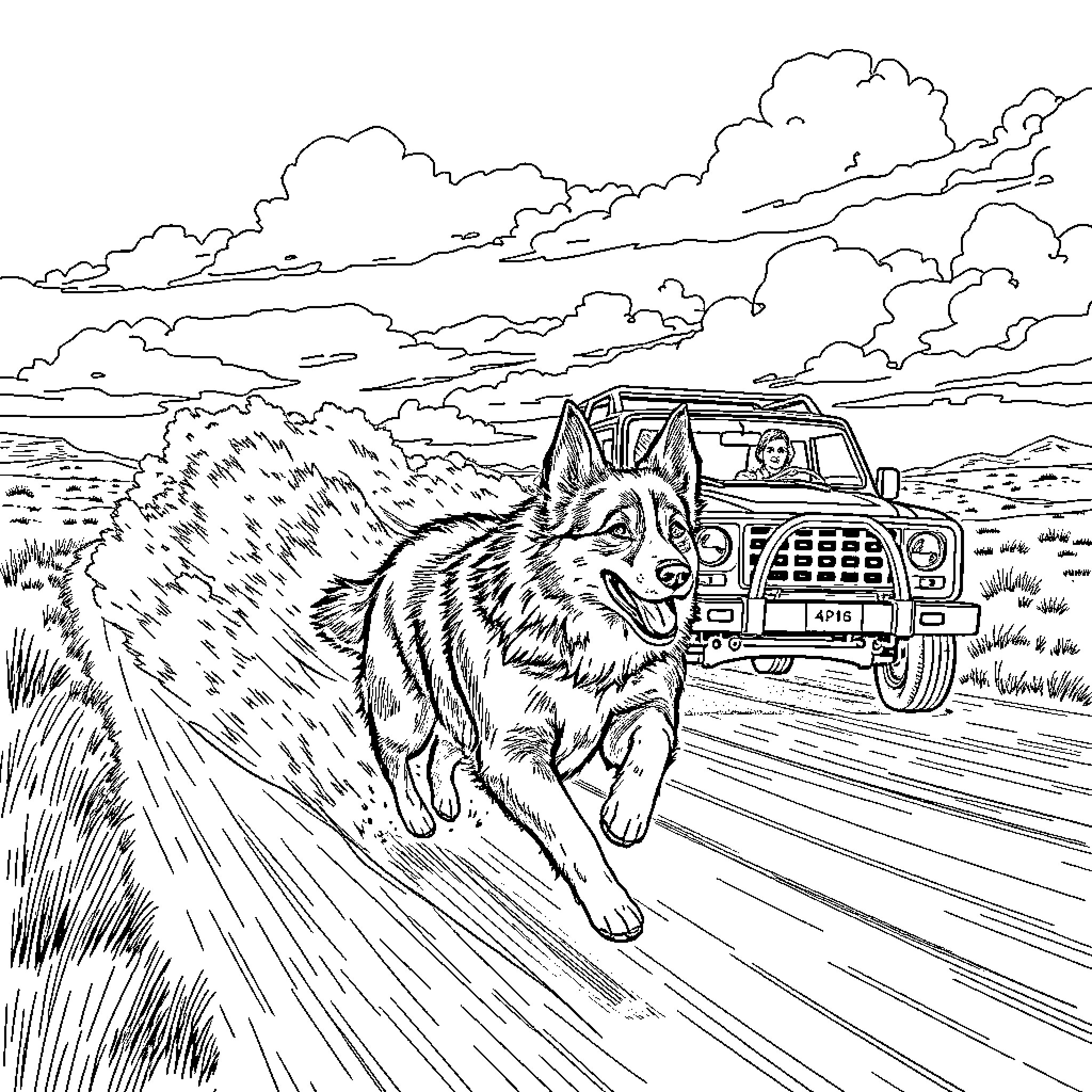 Shetland Shepherd running alongside vehicle on countryside road Coloring Page (free black-and-white line drawing printable PDF for all, from beginners to advanced learners, including children, teens, adults, and seniors)