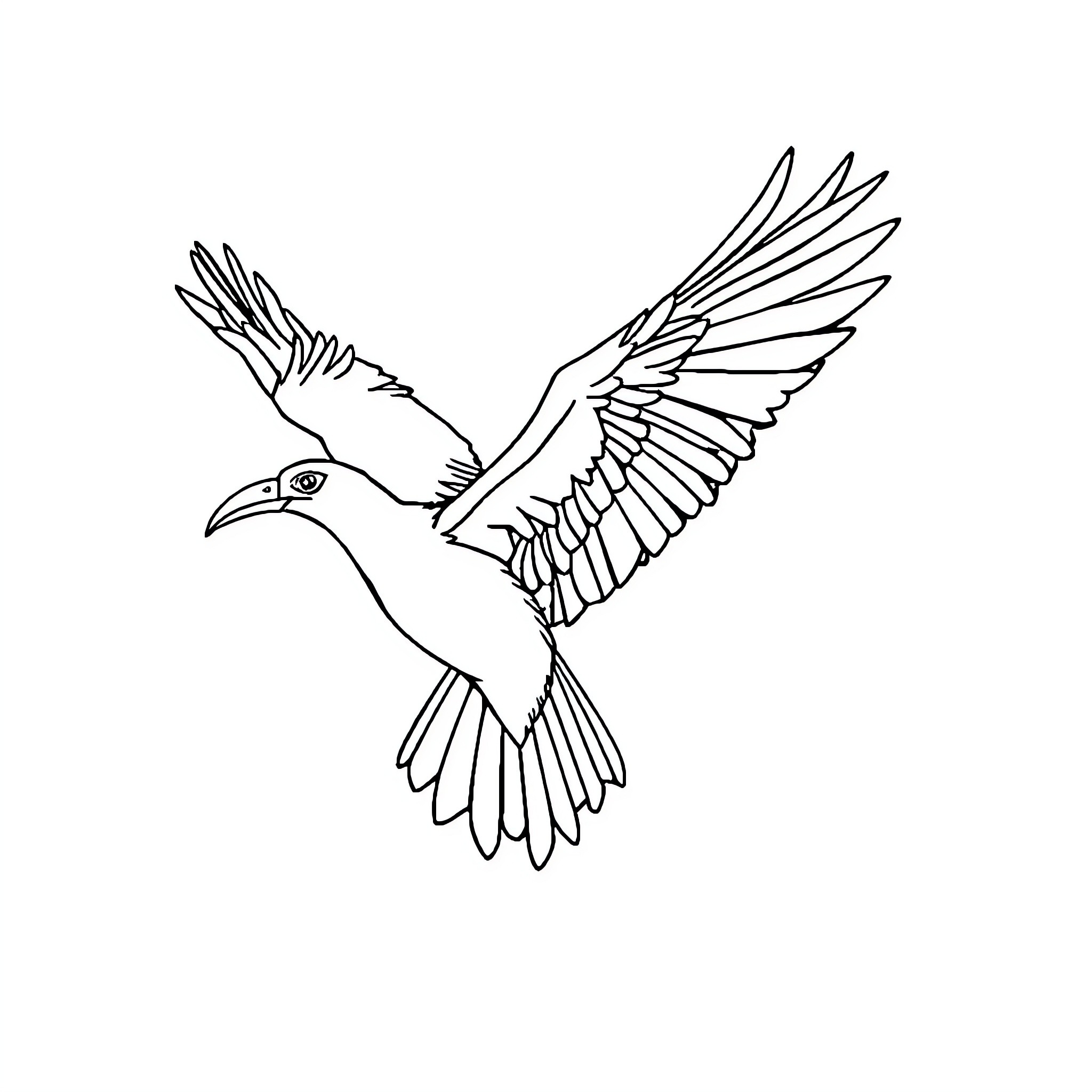 Bird soaring with outstretched wings Coloring Page (free black-and-white line drawing printable PDF for all, from beginners to advanced learners, including children, teens, adults, and seniors)