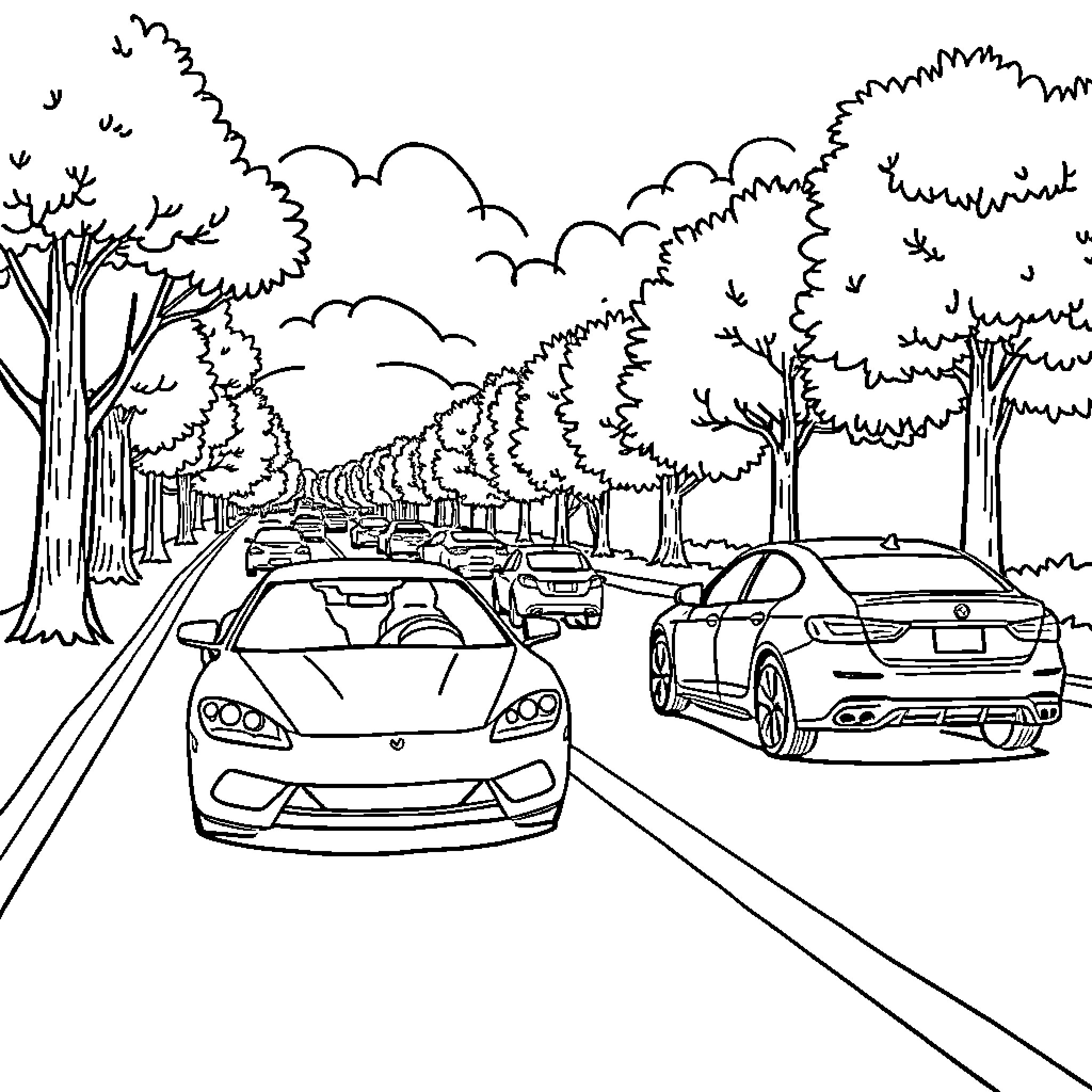 Cars driving along a tree-lined road Coloring Page (free black-and-white line drawing printable PDF for all, from beginners to advanced learners, including children, teens, adults, and seniors)