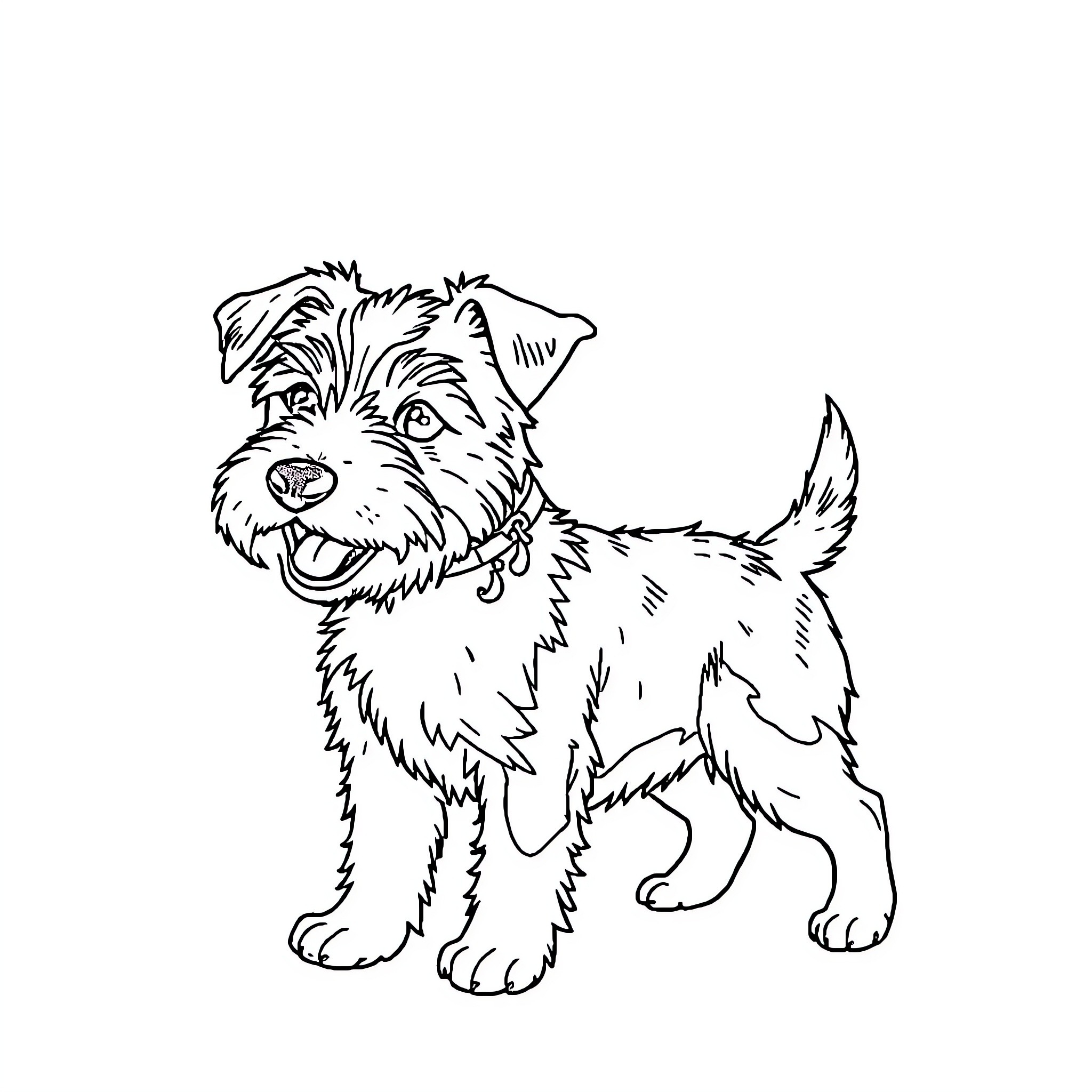 Border Terrier standing alert and attentive Coloring Page (free black-and-white line drawing printable PDF for all, from beginners to advanced learners, including children, teens, adults, and seniors)