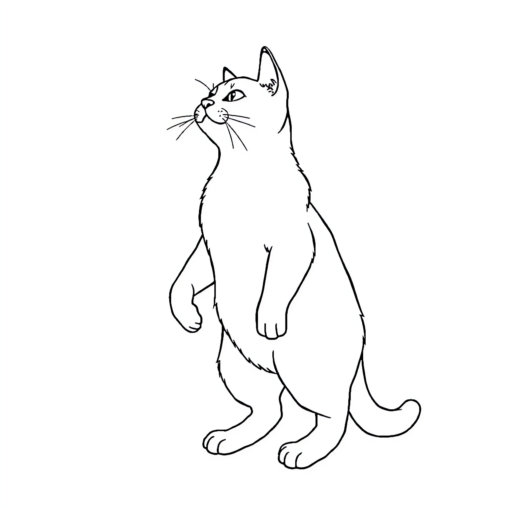 Cat sitting and looking attentively Coloring Page (free black-and-white line drawing printable PDF for all, from beginners to advanced learners, including children, teens, adults, and seniors)