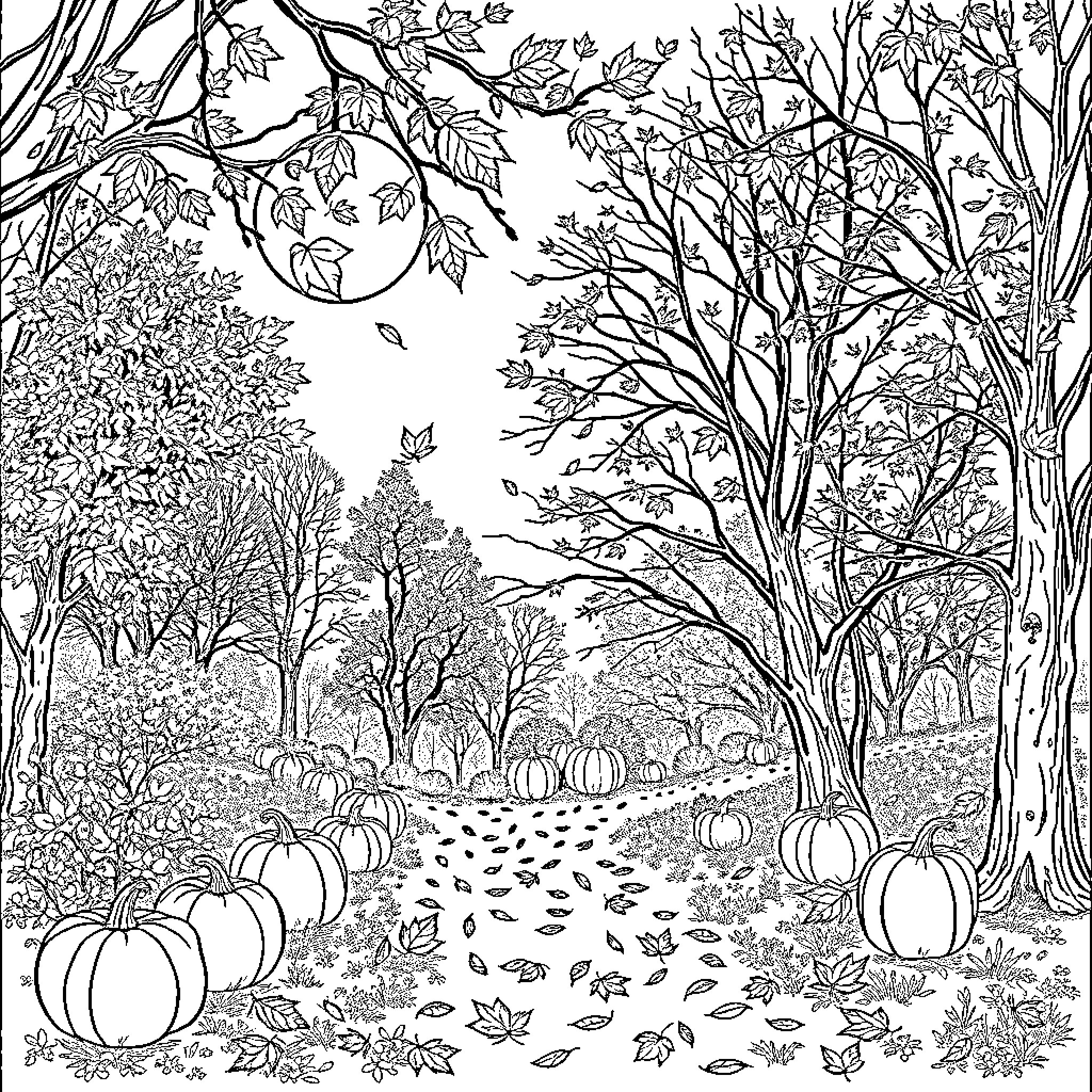 Fall Scene with Pumpkins and Fallen Leaves Coloring Page (free black-and-white line drawing printable PDF for all, from beginners to advanced learners, including children, teens, adults, and seniors)