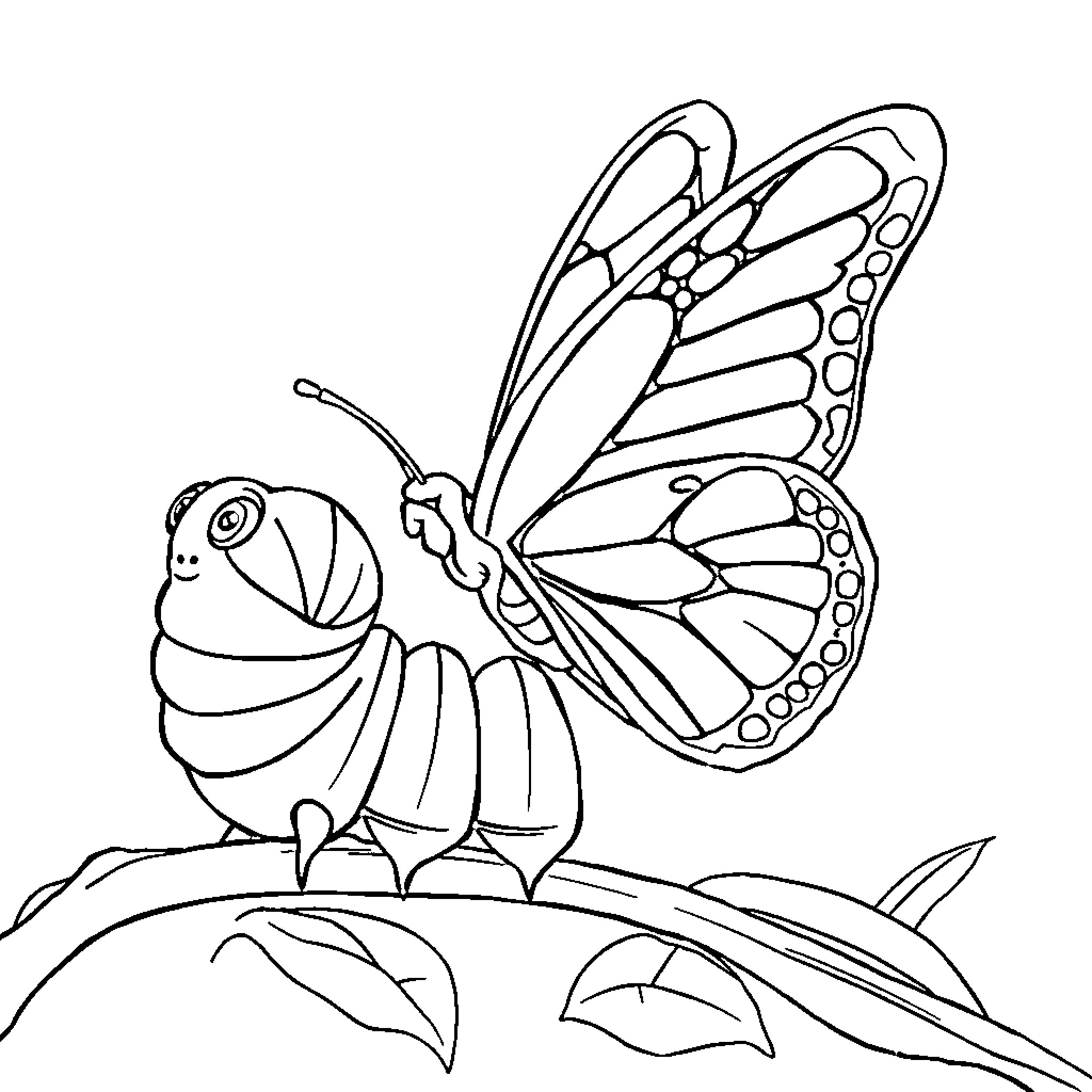 Caterpillar transforming into a beautiful butterfly Coloring Page (free black-and-white line drawing printable PDF for all, from beginners to advanced learners, including children, teens, adults, and seniors)