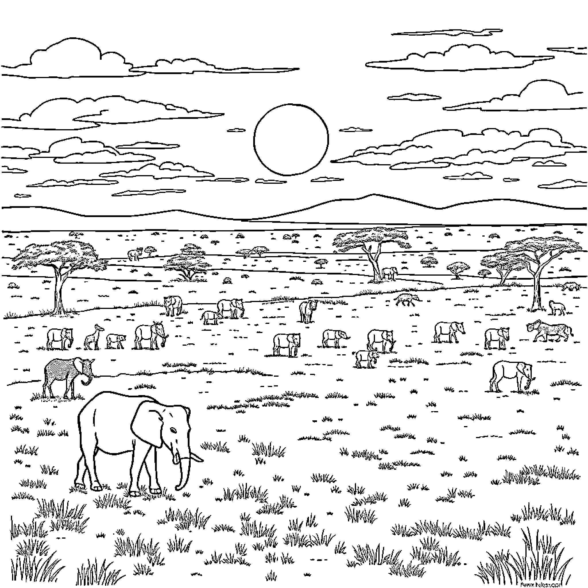 Animal herd grazing in serene savanna landscape Coloring Page (free black-and-white line drawing printable PDF for all, from beginners to advanced learners, including children, teens, adults, and seniors)
