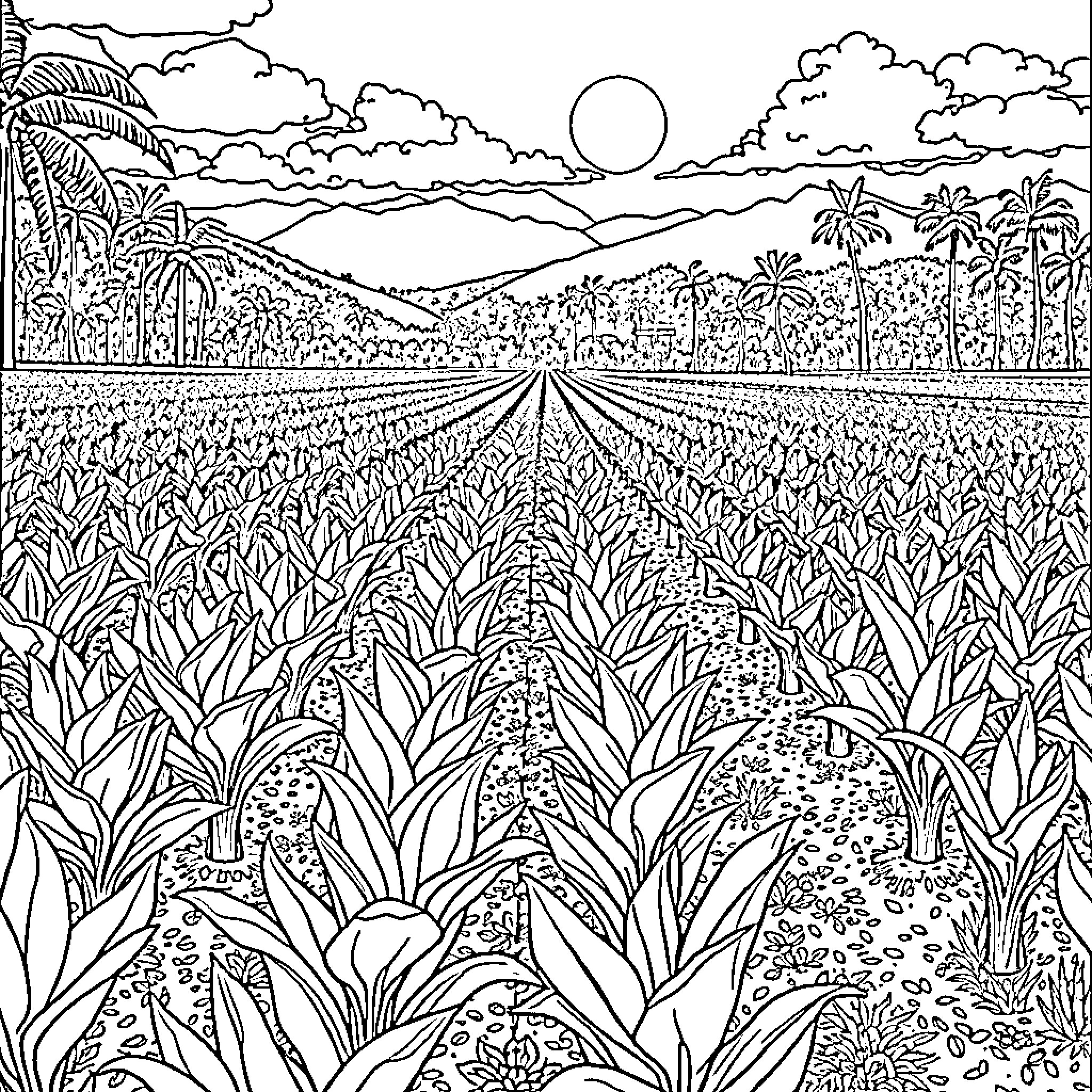 Taro's Tropical Plantation Landscape Coloring Page (free black-and-white line drawing printable PDF for all, from beginners to advanced learners, including children, teens, adults, and seniors)
