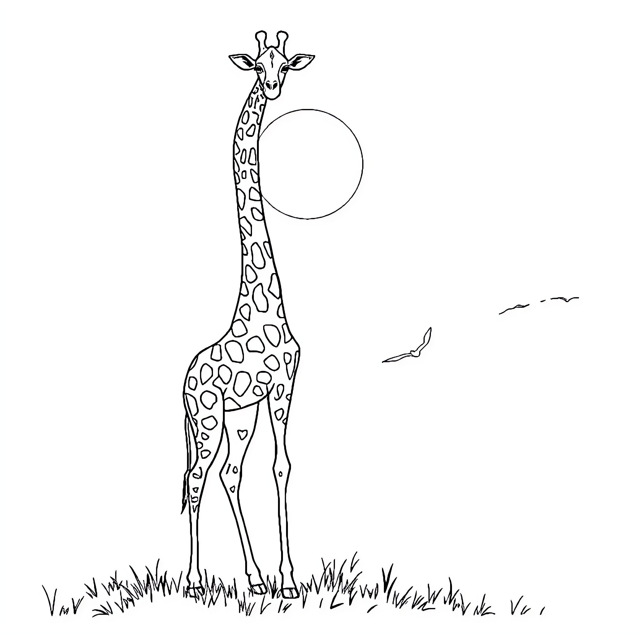 Giraffe standing tall in the savanna Coloring Page (free black-and-white line drawing printable PDF for all, from beginners to advanced learners, including children, teens, adults, and seniors)