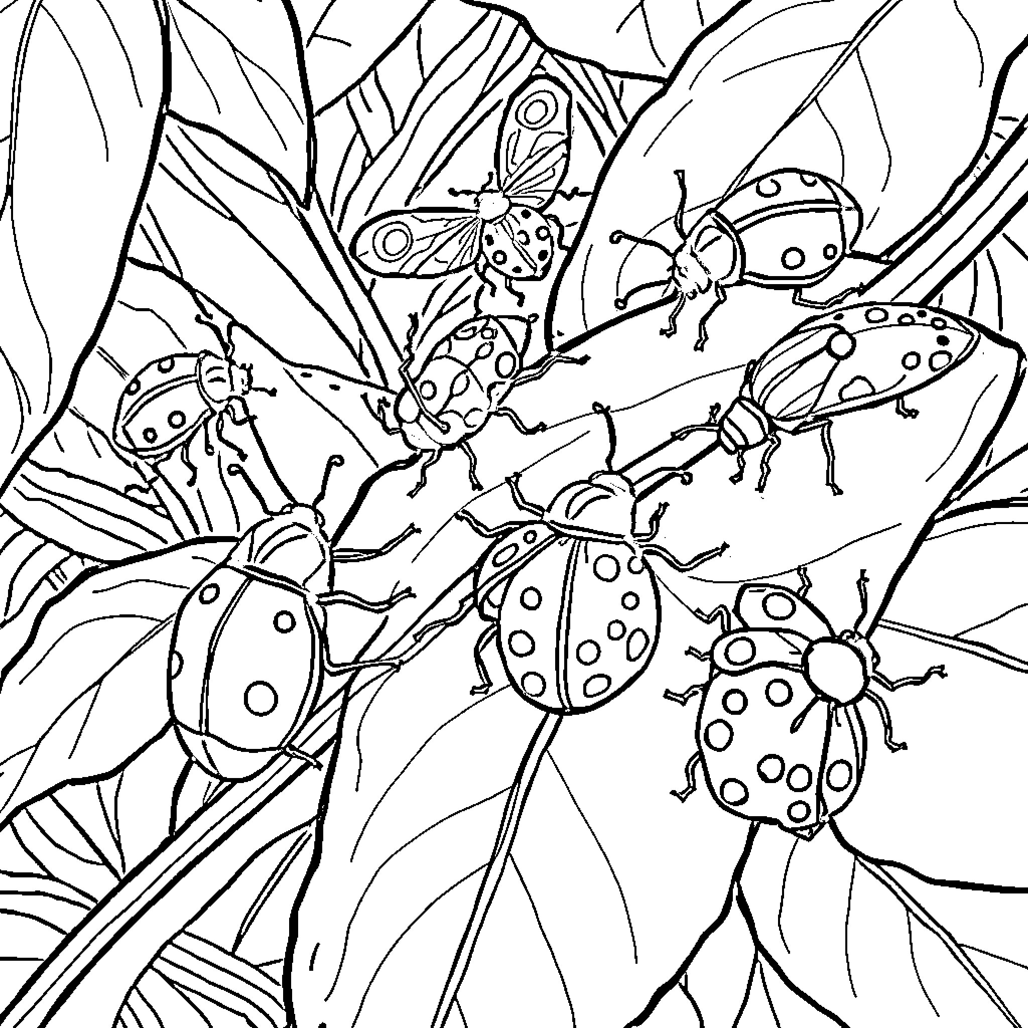 Bug Adventure in Leafy Wonderland Coloring Page (free black-and-white line drawing printable PDF for all, from beginners to advanced learners, including children, teens, adults, and seniors)