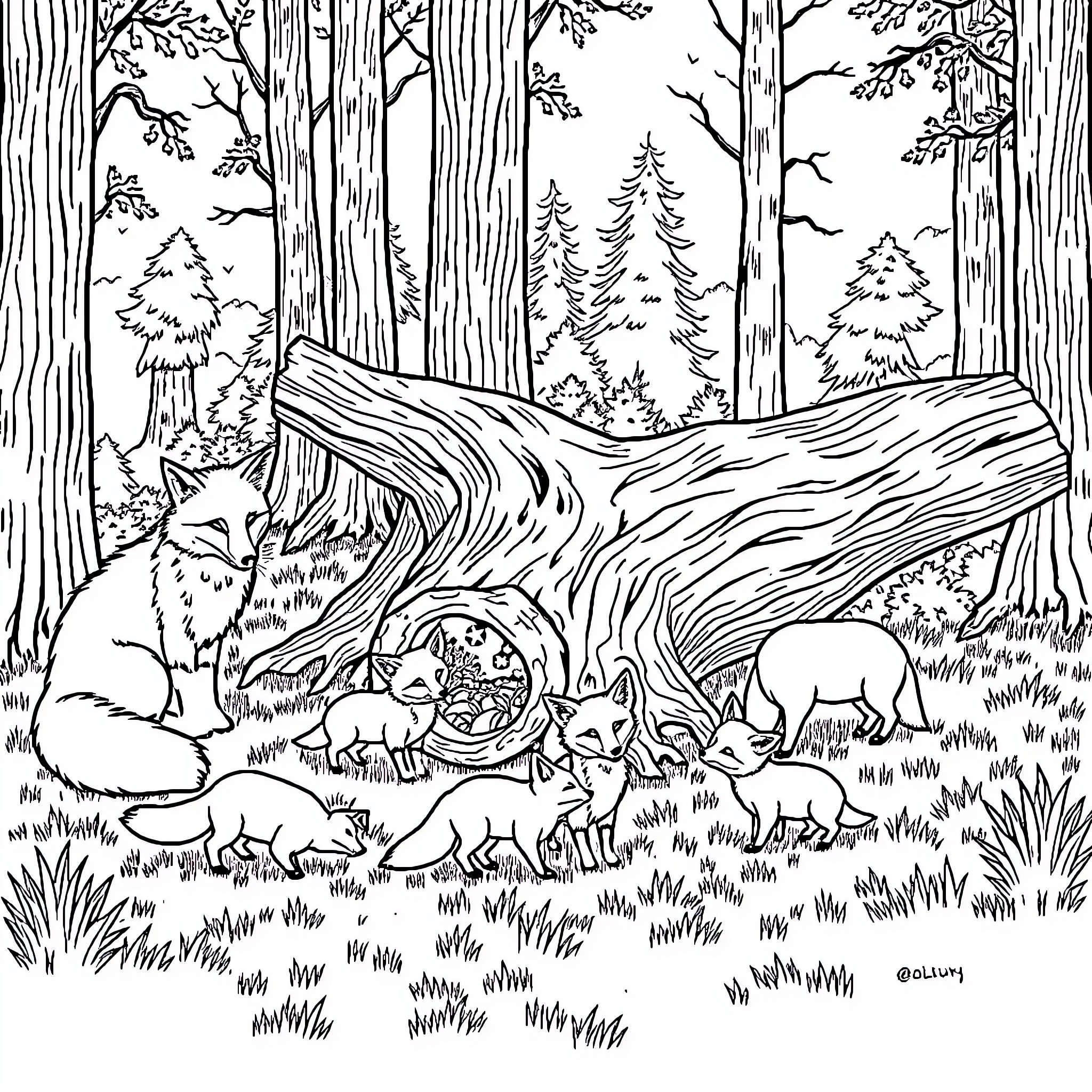 Fox family exploring the enchanted forest Coloring Page (free black-and-white line drawing printable PDF for all, from beginners to advanced learners, including children, teens, adults, and seniors)
