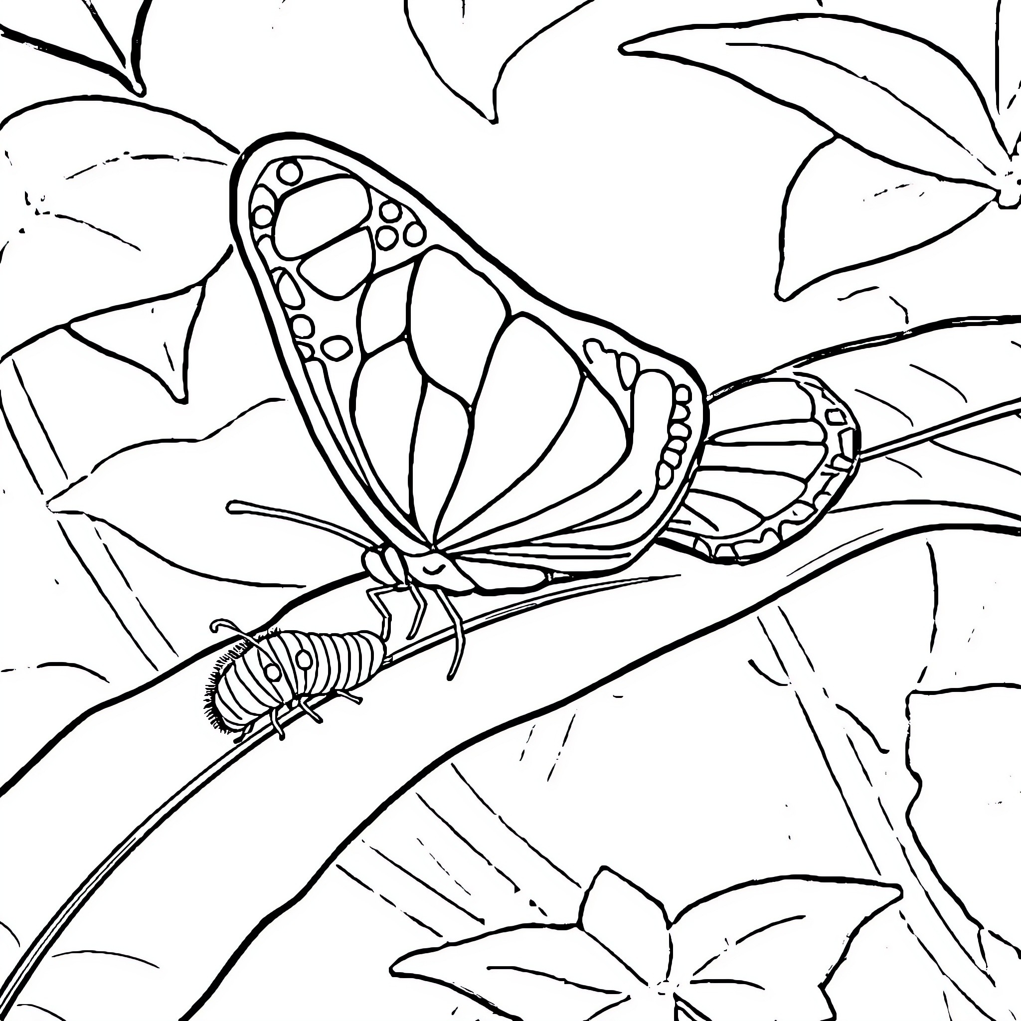 Butterfly resting on a branch with leaves Coloring Page (free black-and-white line drawing printable PDF for all, from beginners to advanced learners, including children, teens, adults, and seniors)