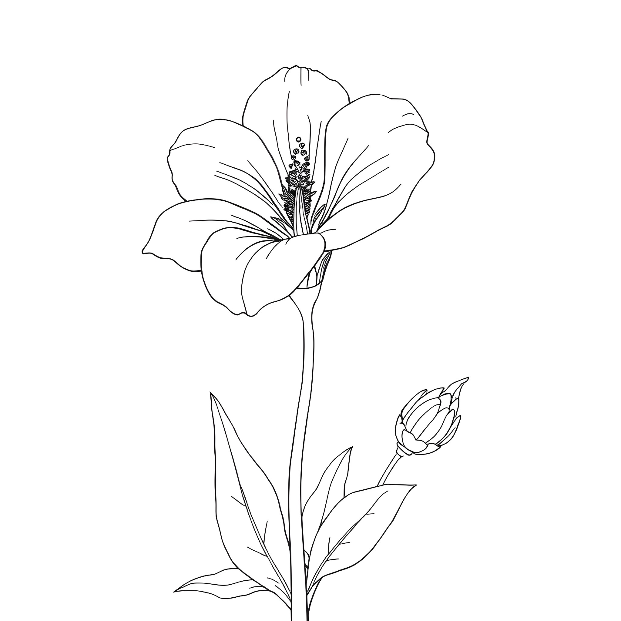 Flower blooming in simple black and white line art Coloring Page (free black-and-white line drawing printable PDF for all, from beginners to advanced learners, including children, teens, adults, and seniors)