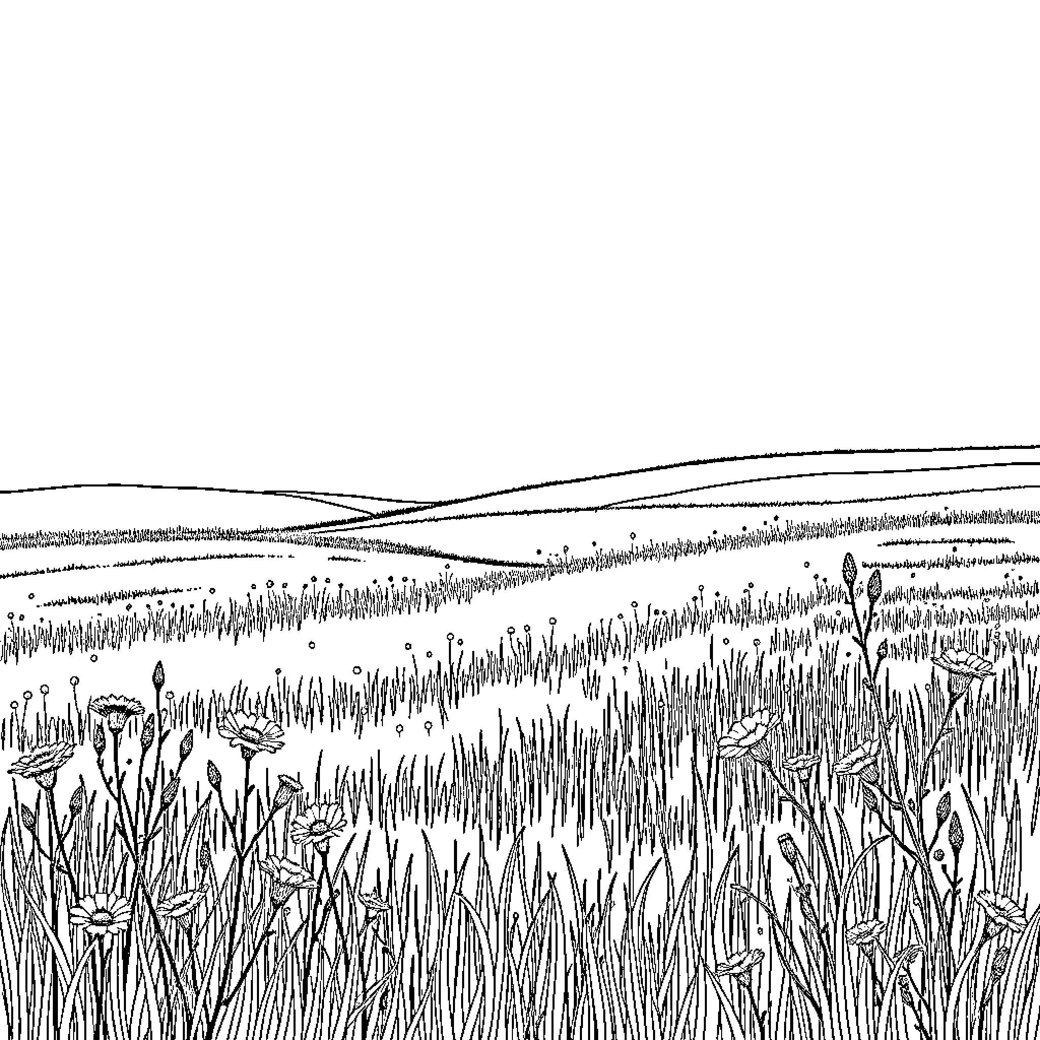 Field of Tall Grass and Wildflowers in Nature Coloring Page (free black-and-white line drawing printable PDF for all, from beginners to advanced learners, including children, teens, adults, and seniors)