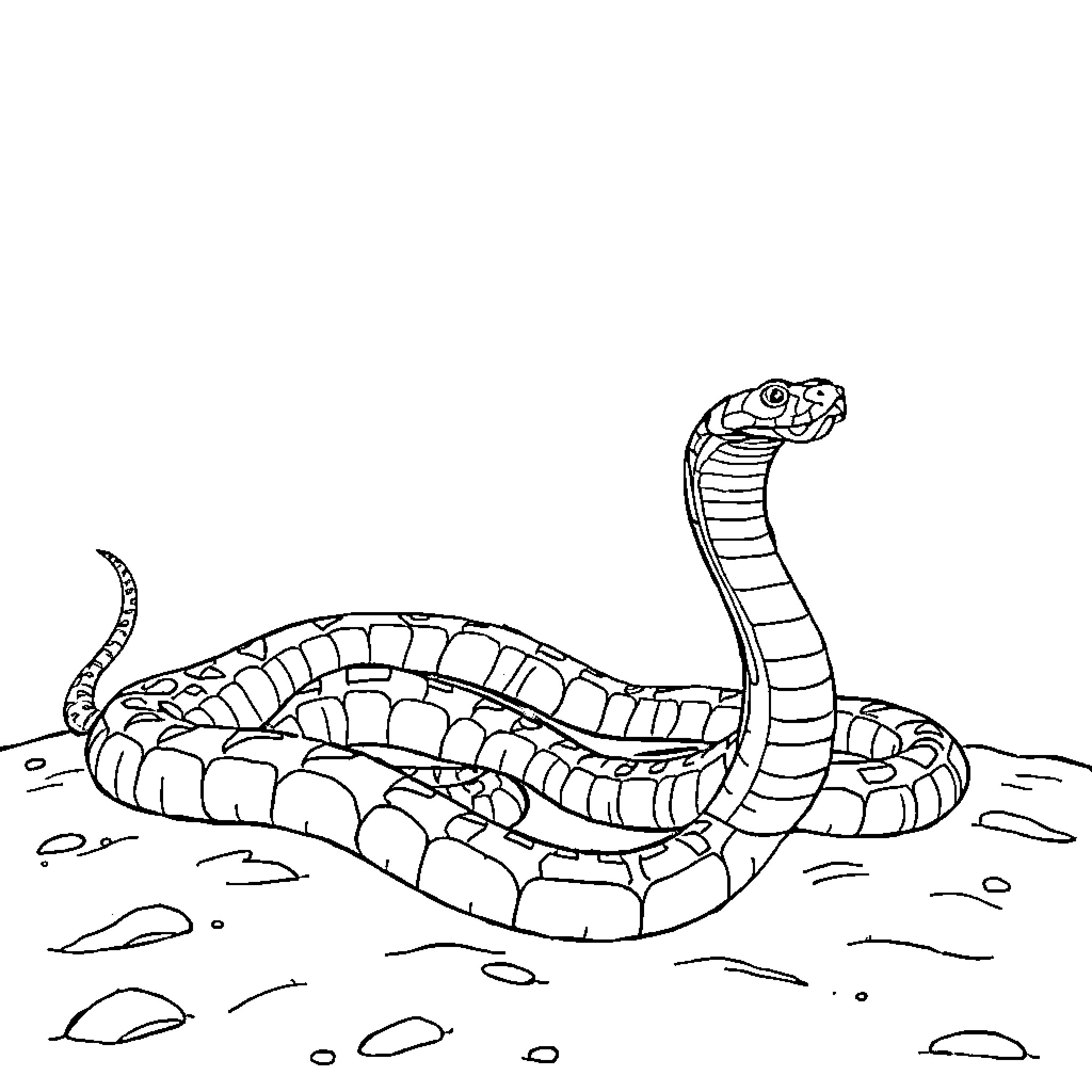 Snake slithering across rocky terrain Coloring Page (free black-and-white line drawing printable PDF for all, from beginners to advanced learners, including children, teens, adults, and seniors)