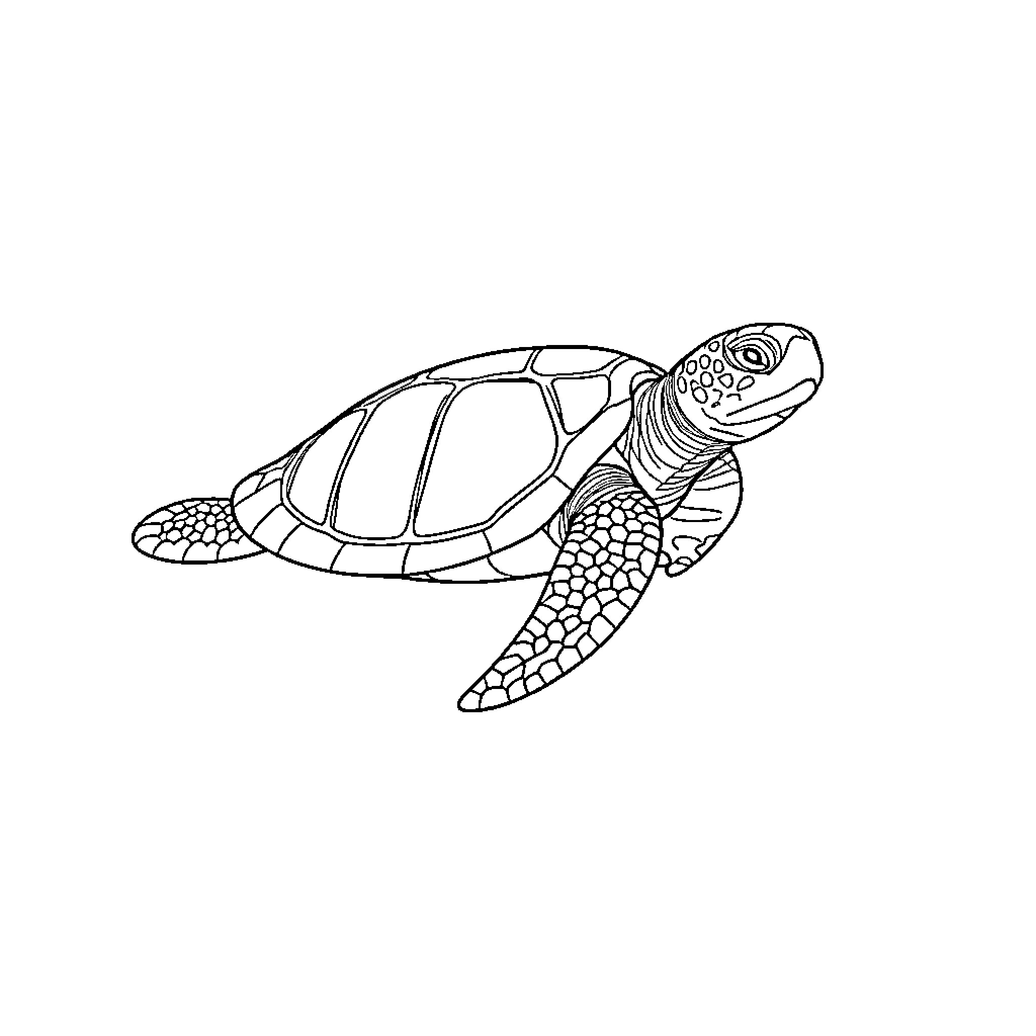 Tortoise swimming gracefully in the ocean Coloring Page (free black-and-white line drawing printable PDF for all, from beginners to advanced learners, including children, teens, adults, and seniors)