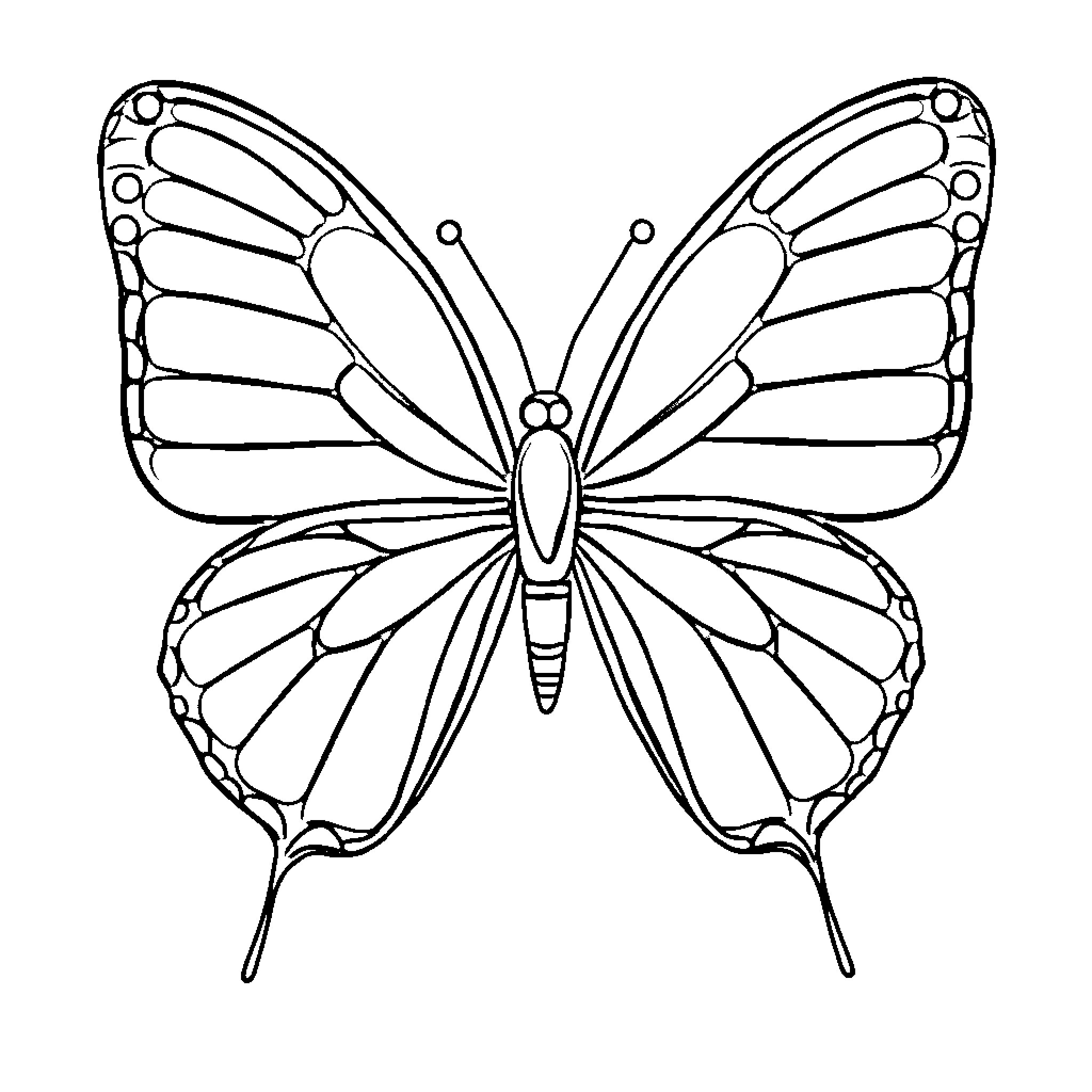 Butterflies in Monochrome Coloring Page (free black-and-white line drawing printable PDF for all, from beginners to advanced learners, including children, teens, adults, and seniors)