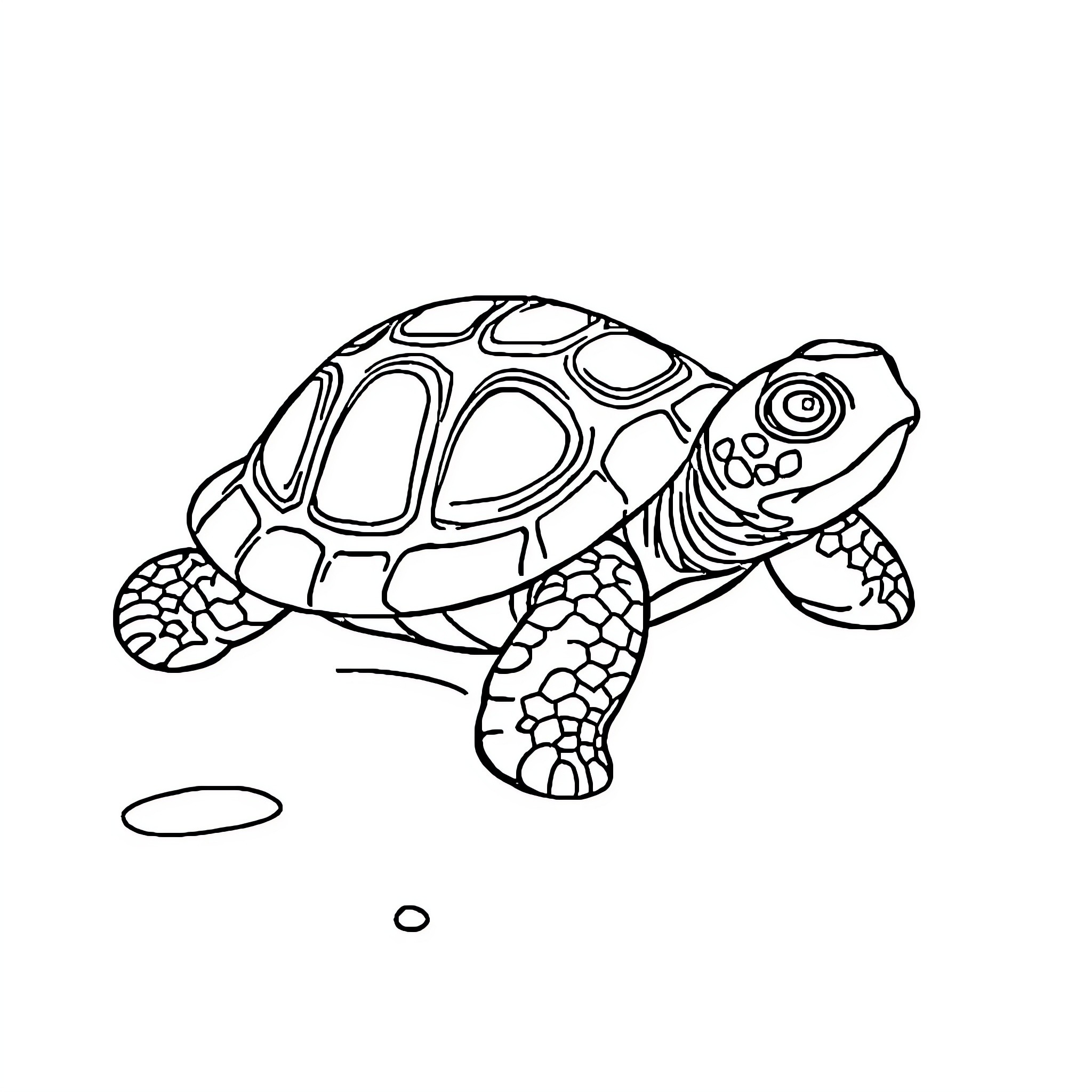 Ajolote turtle walking on the ground Coloring Page (free black-and-white line drawing printable PDF for all, from beginners to advanced learners, including children, teens, adults, and seniors)