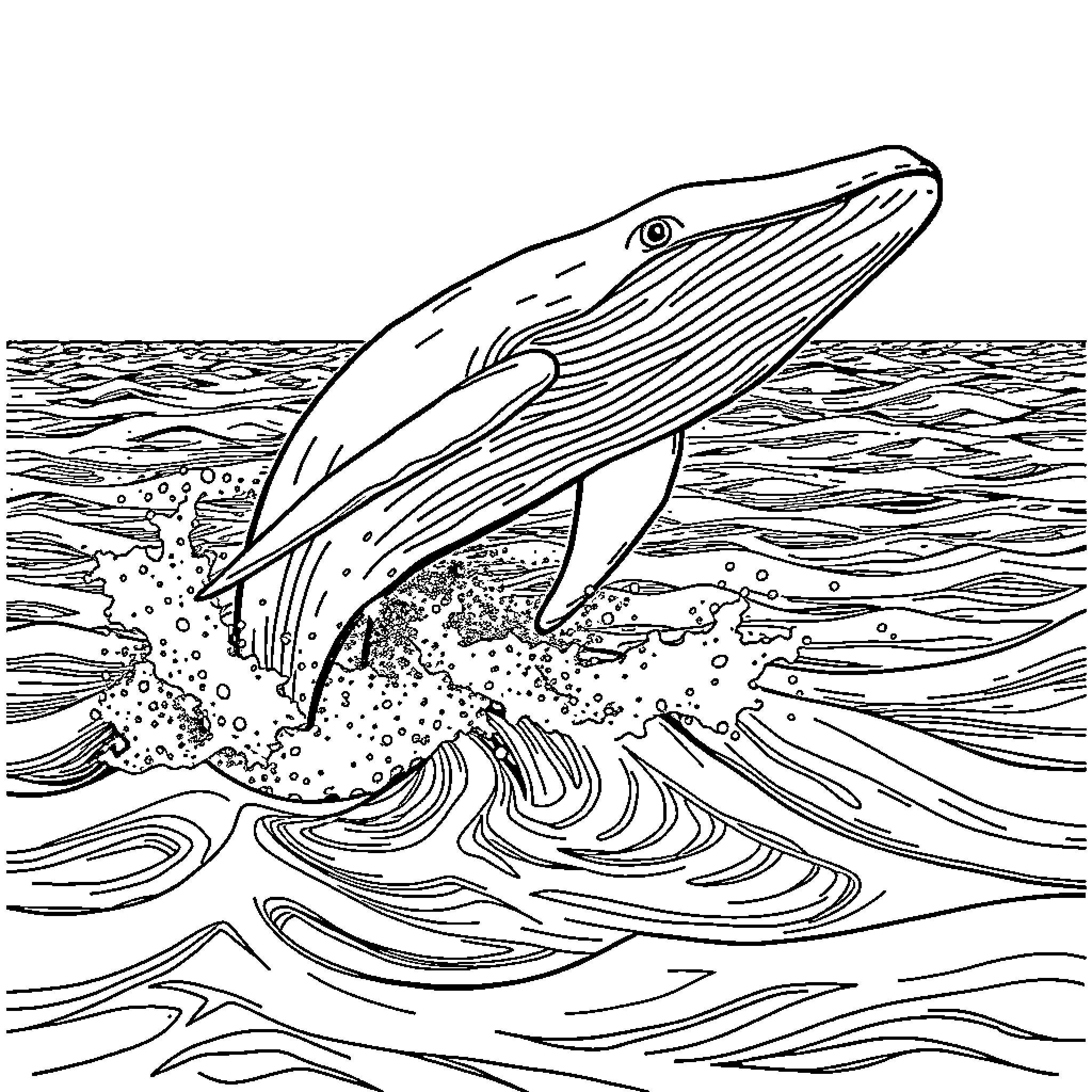 Humpback Whale Breaching the Waves Coloring Page (free black-and-white line drawing printable PDF for all, from beginners to advanced learners, including children, teens, adults, and seniors)