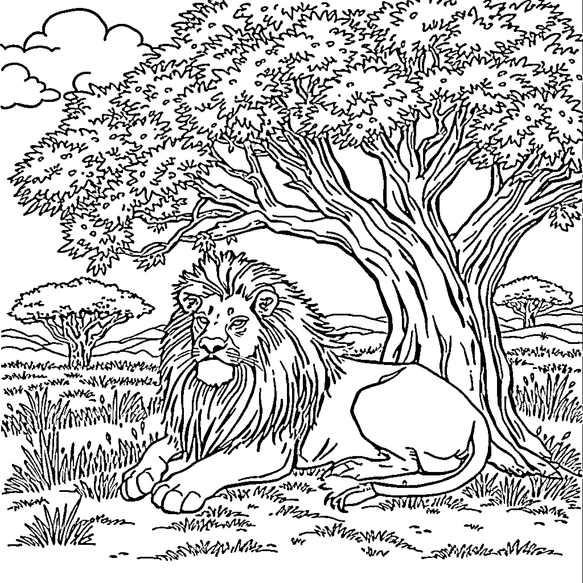 Lion resting under a large tree in the wilderness Coloring Page (free black-and-white line drawing printable PDF for all, from beginners to advanced learners, including children, teens, adults, and seniors)