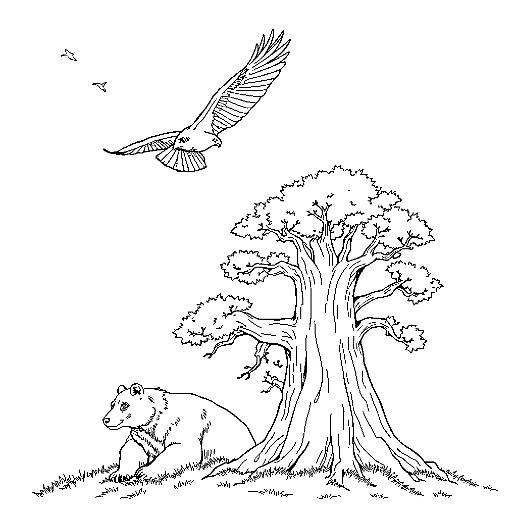 Hawk soaring over peaceful woodland scene Coloring Page (free black-and-white line drawing printable PDF for all, from beginners to advanced learners, including children, teens, adults, and seniors)
