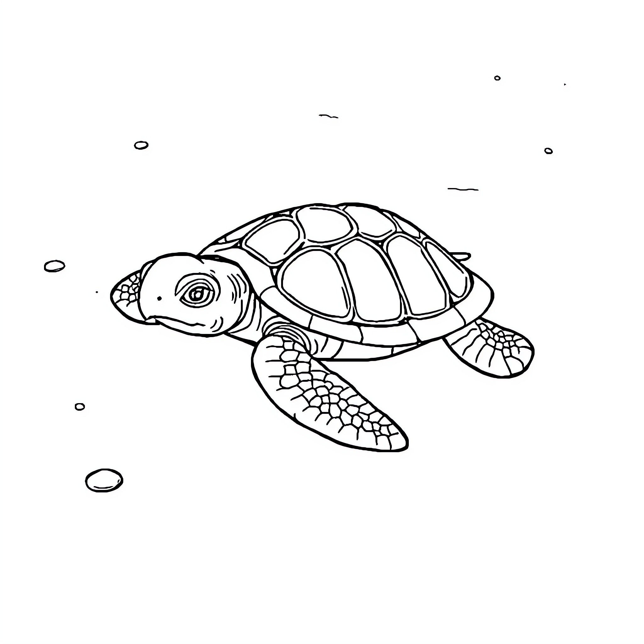 Turtle swimming gracefully in the ocean Coloring Page (free black-and-white line drawing printable PDF for all, from beginners to advanced learners, including children, teens, adults, and seniors)