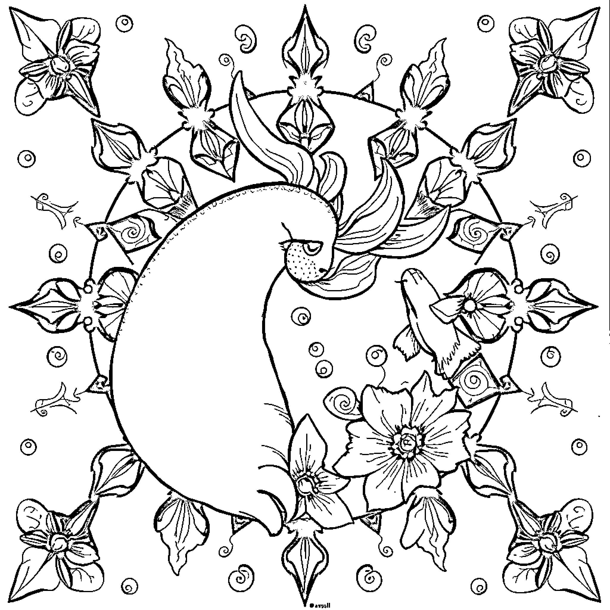 طالب رسم مخططات الزهور المنمقة Coloring Page (free black-and-white line drawing printable PDF for all, from beginners to advanced learners, including children, teens, adults, and seniors)