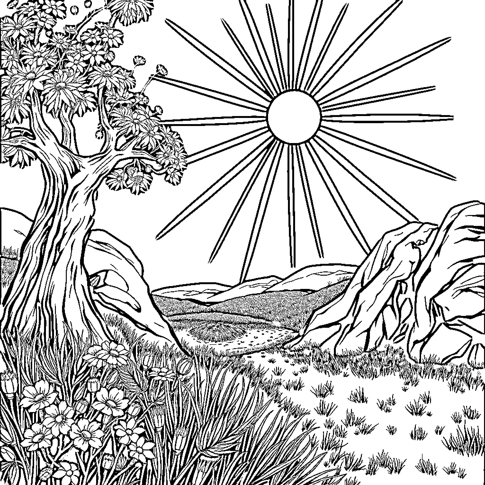 Gold Radiant Sunrise in Floral Wilderness Coloring Page (free black-and-white line drawing printable PDF for all, from beginners to advanced learners, including children, teens, adults, and seniors)
