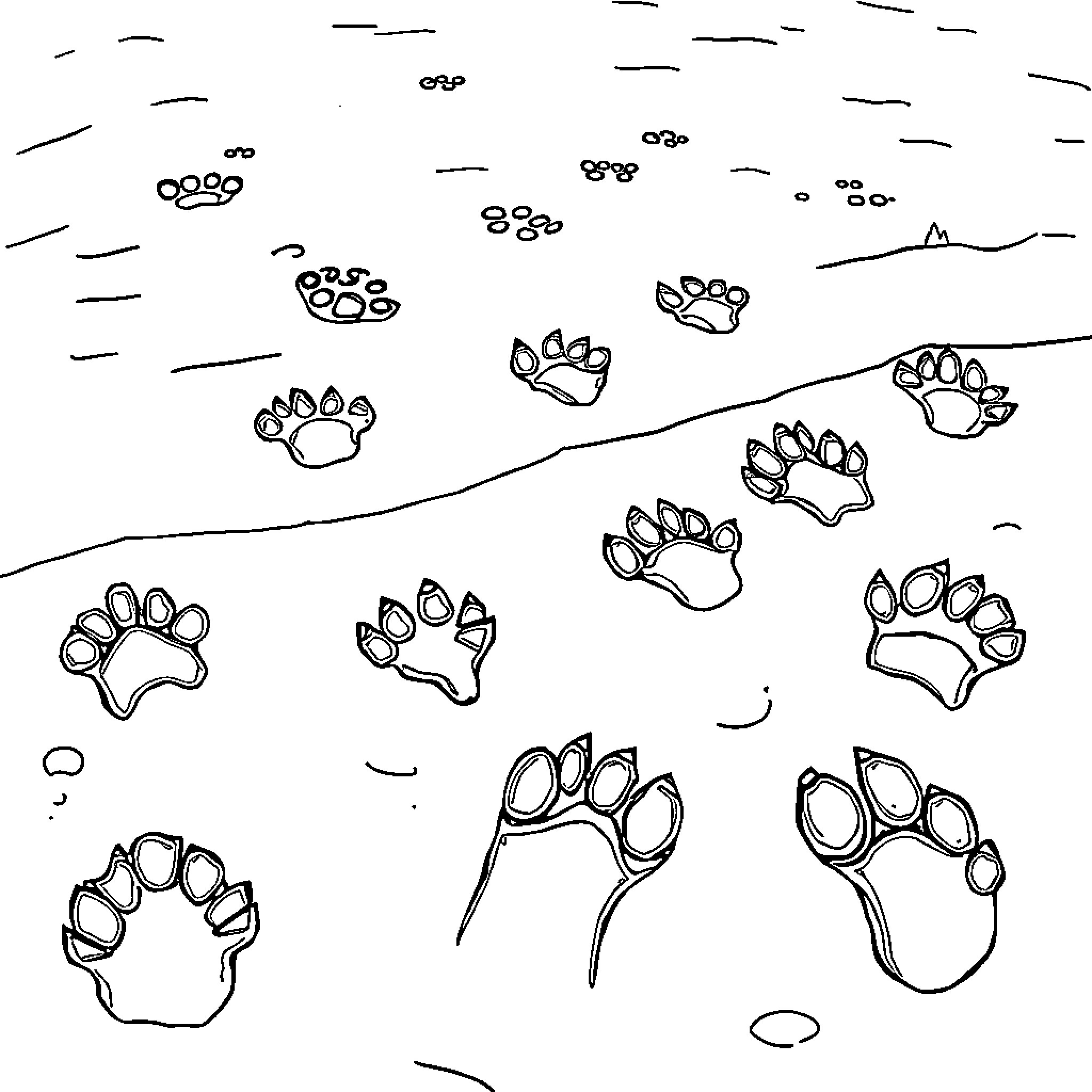 Dinosaur Footprints in the Snow Coloring Page (free black-and-white line drawing printable PDF for all, from beginners to advanced learners, including children, teens, adults, and seniors)