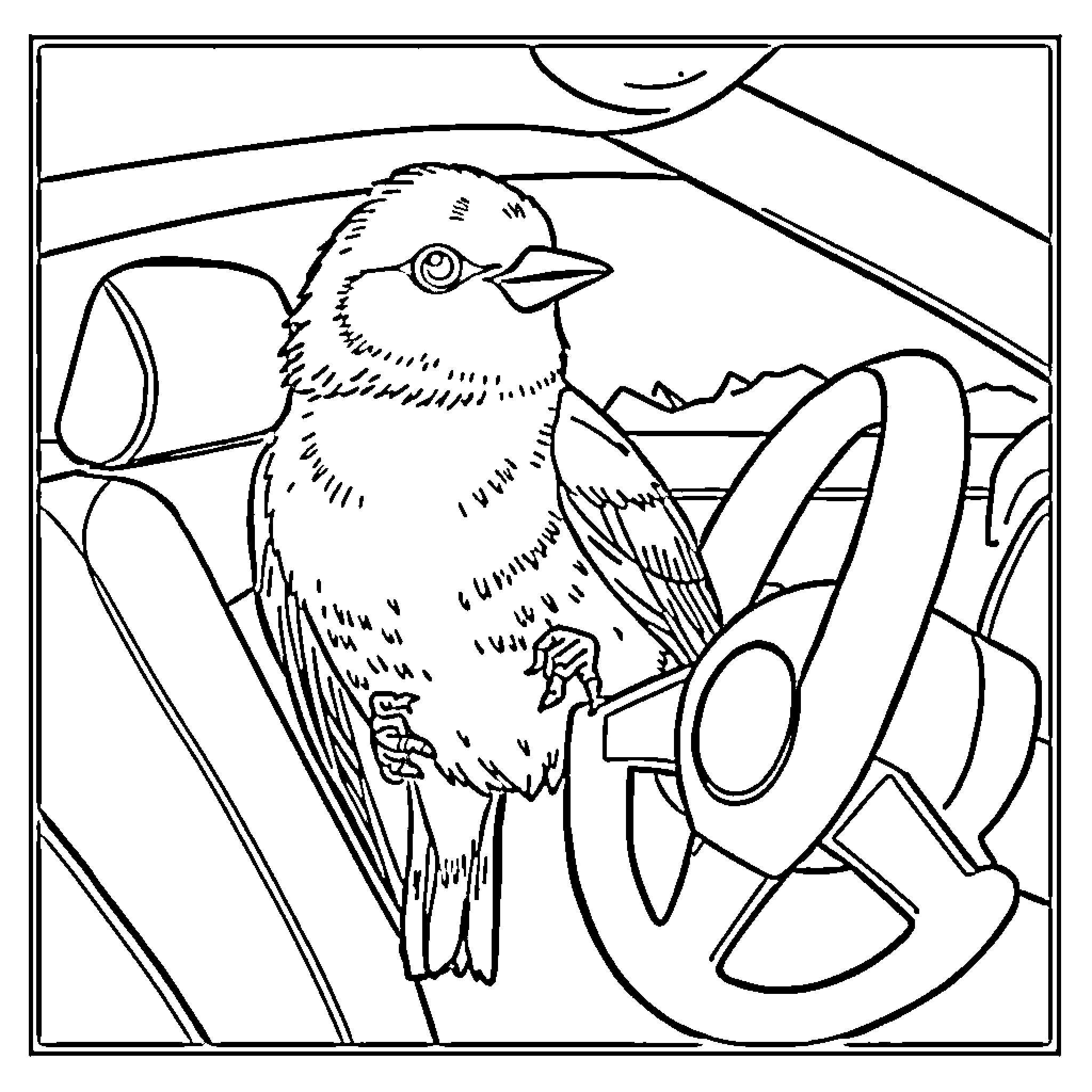 Bird resting in a car Coloring Page (free black-and-white line drawing printable PDF for all, from beginners to advanced learners, including children, teens, adults, and seniors)