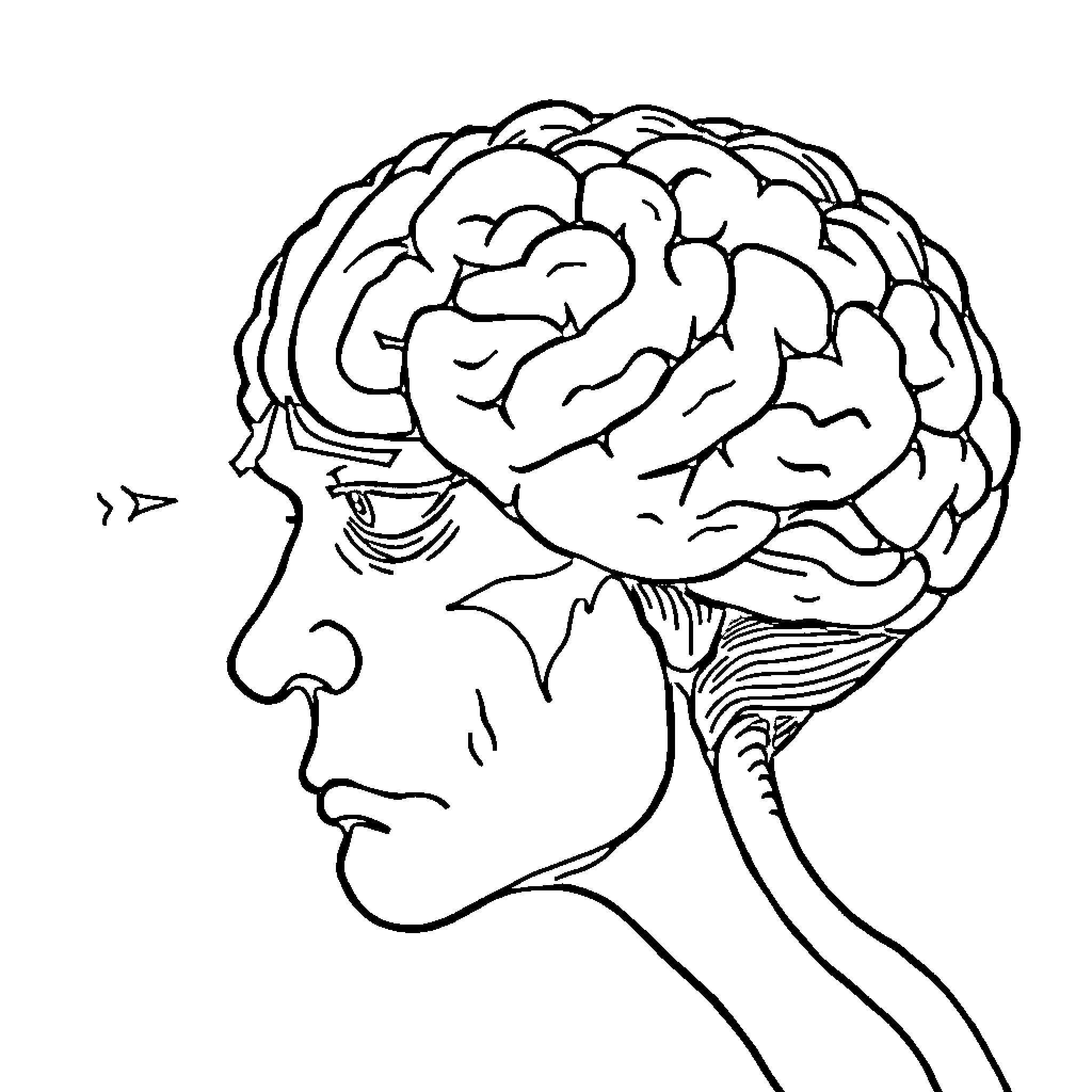 Brain in profile with distinctive features Coloring Page (free black-and-white line drawing printable PDF for all, from beginners to advanced learners, including children, teens, adults, and seniors)