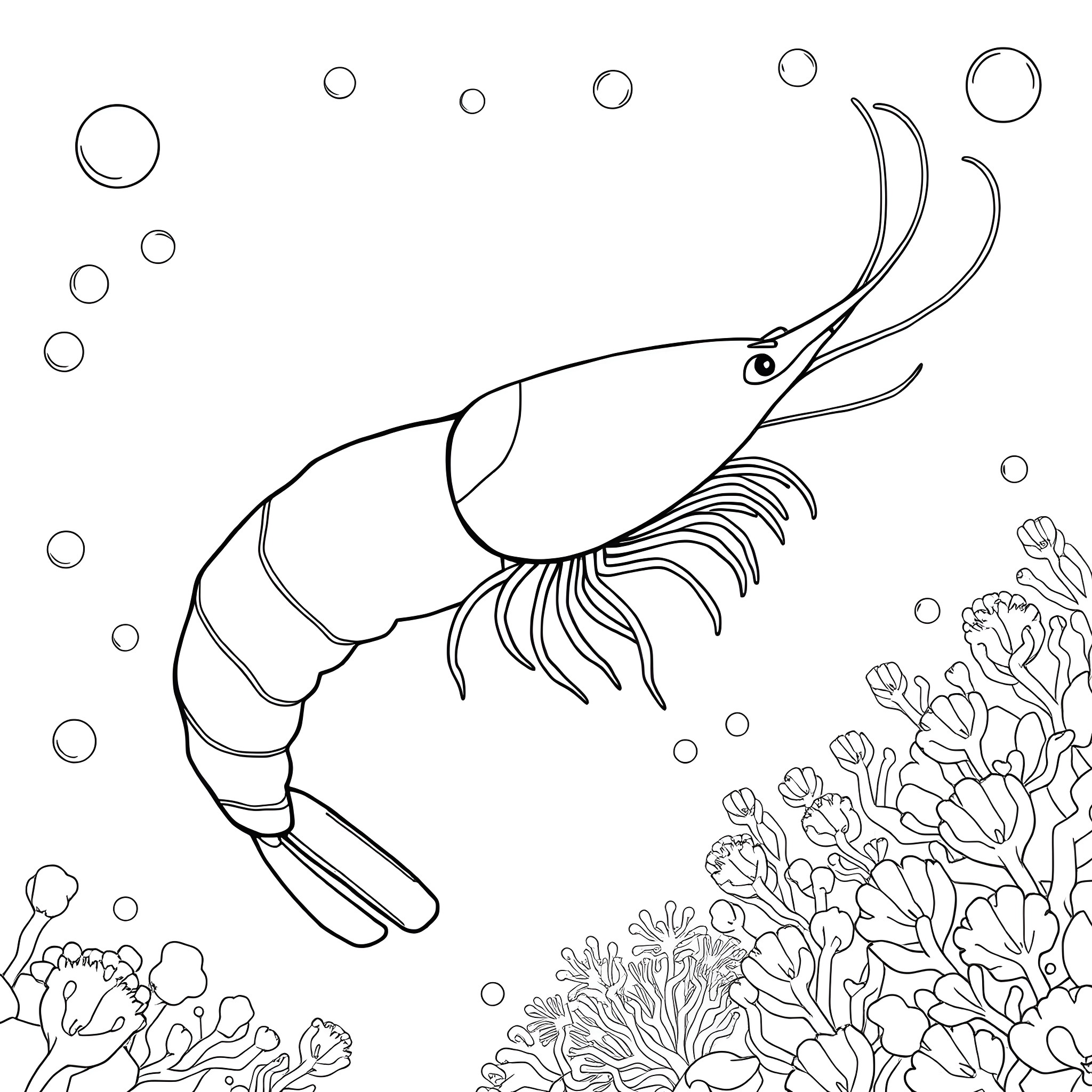 Shrimp swimming among coral reefs Coloring Page (free black-and-white line drawing printable PDF for all, from beginners to advanced learners, including children, teens, adults, and seniors)