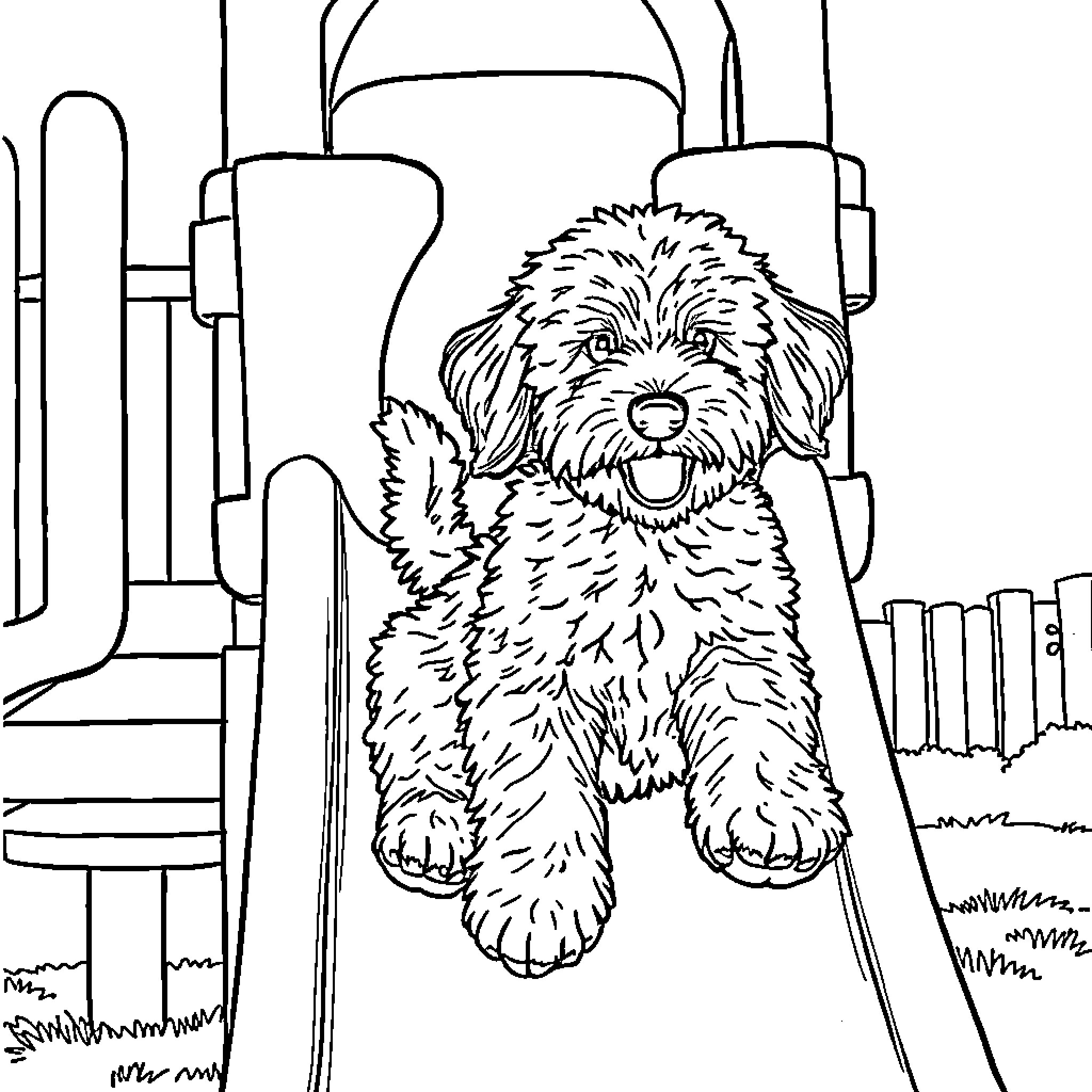 Labradoodle enjoying a stroll through the park Coloring Page (free black-and-white line drawing printable PDF for all, from beginners to advanced learners, including children, teens, adults, and seniors)