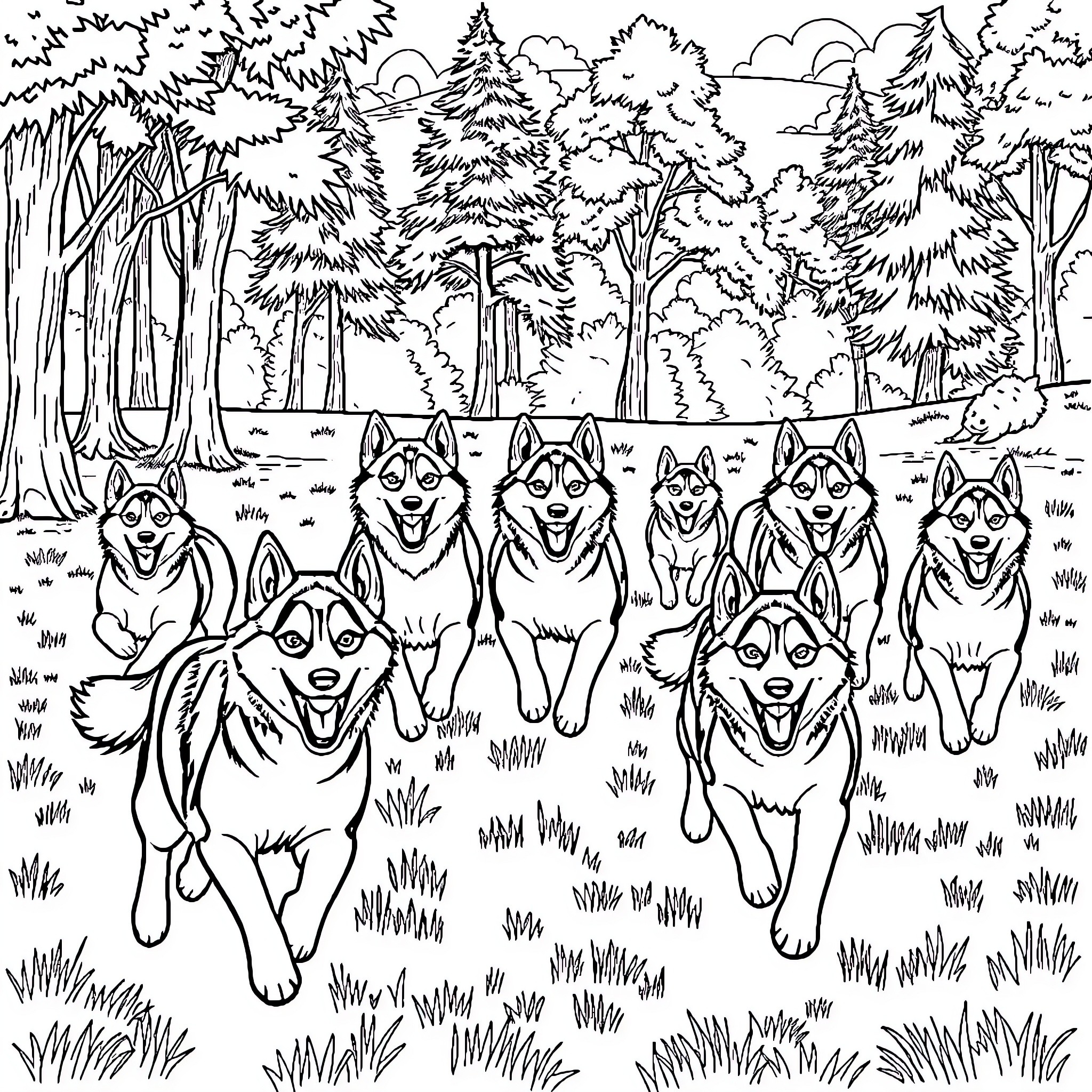 Huskies running excitedly through the forest Coloring Page (free black-and-white line drawing printable PDF for all, from beginners to advanced learners, including children, teens, adults, and seniors)