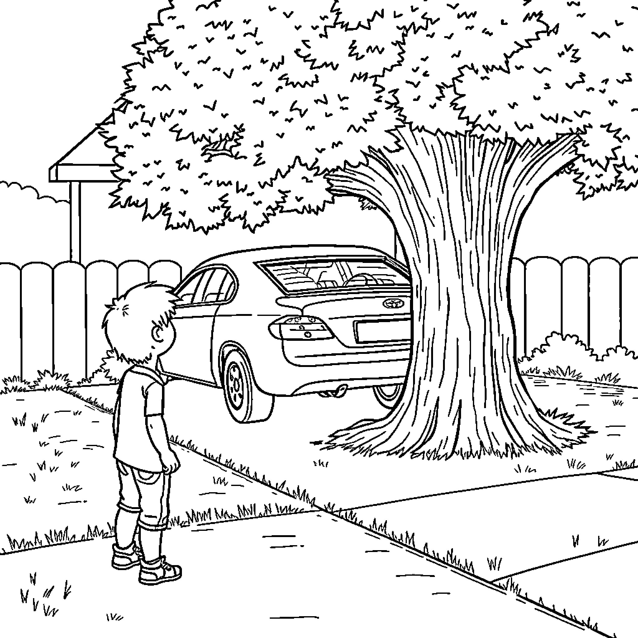 Boy observes large tree in front of parked car Coloring Page (free black-and-white line drawing printable PDF for all, from beginners to advanced learners, including children, teens, adults, and seniors)