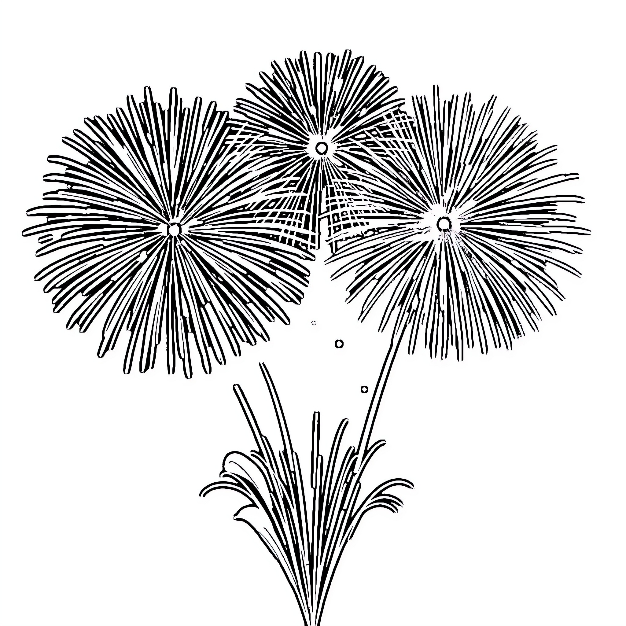 Firework display of bursting shapes Coloring Page (free black-and-white line drawing printable PDF for all, from beginners to advanced learners, including children, teens, adults, and seniors)