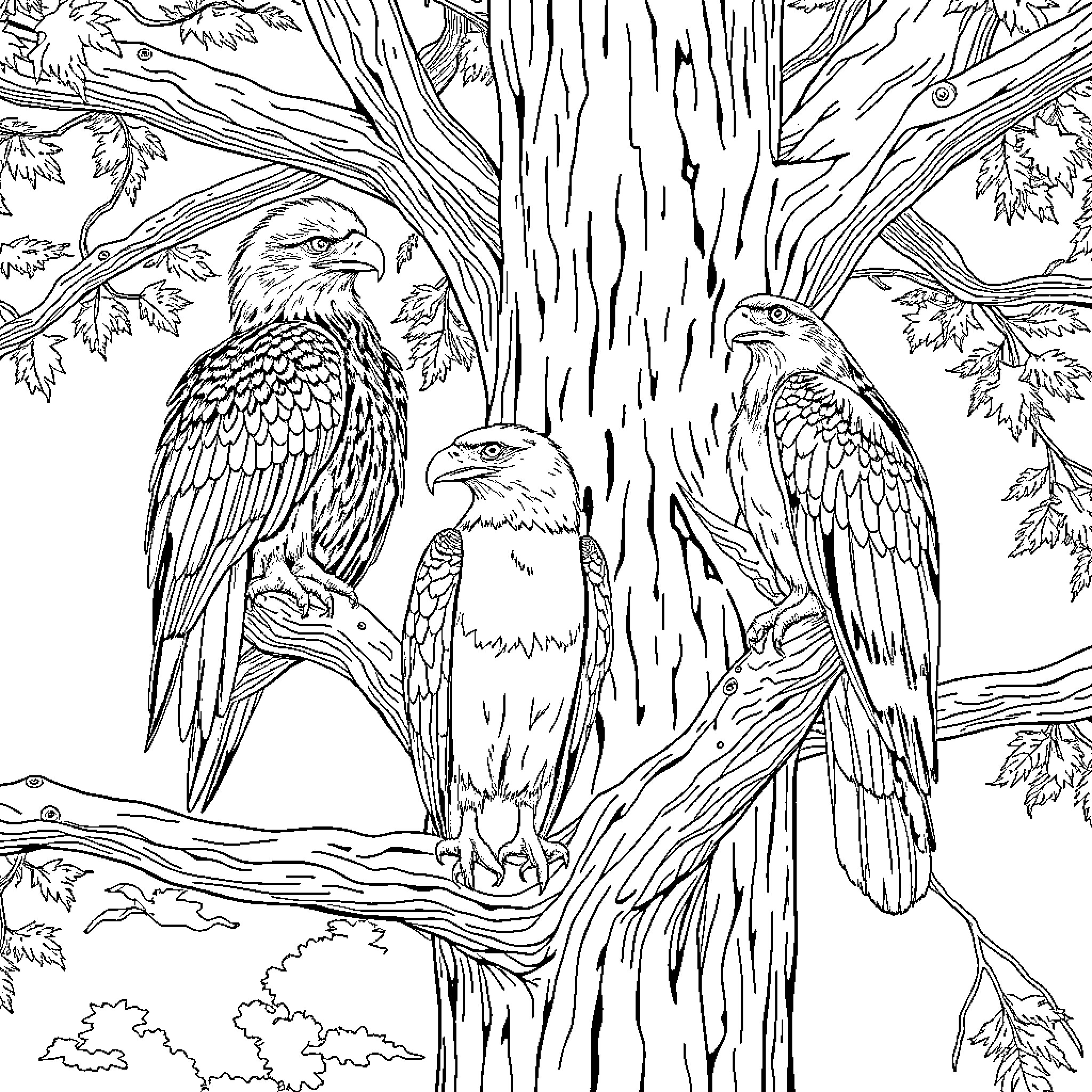 Birds perched on tree in forest scene Coloring Page (free black-and-white line drawing printable PDF for all, from beginners to advanced learners, including children, teens, adults, and seniors)
