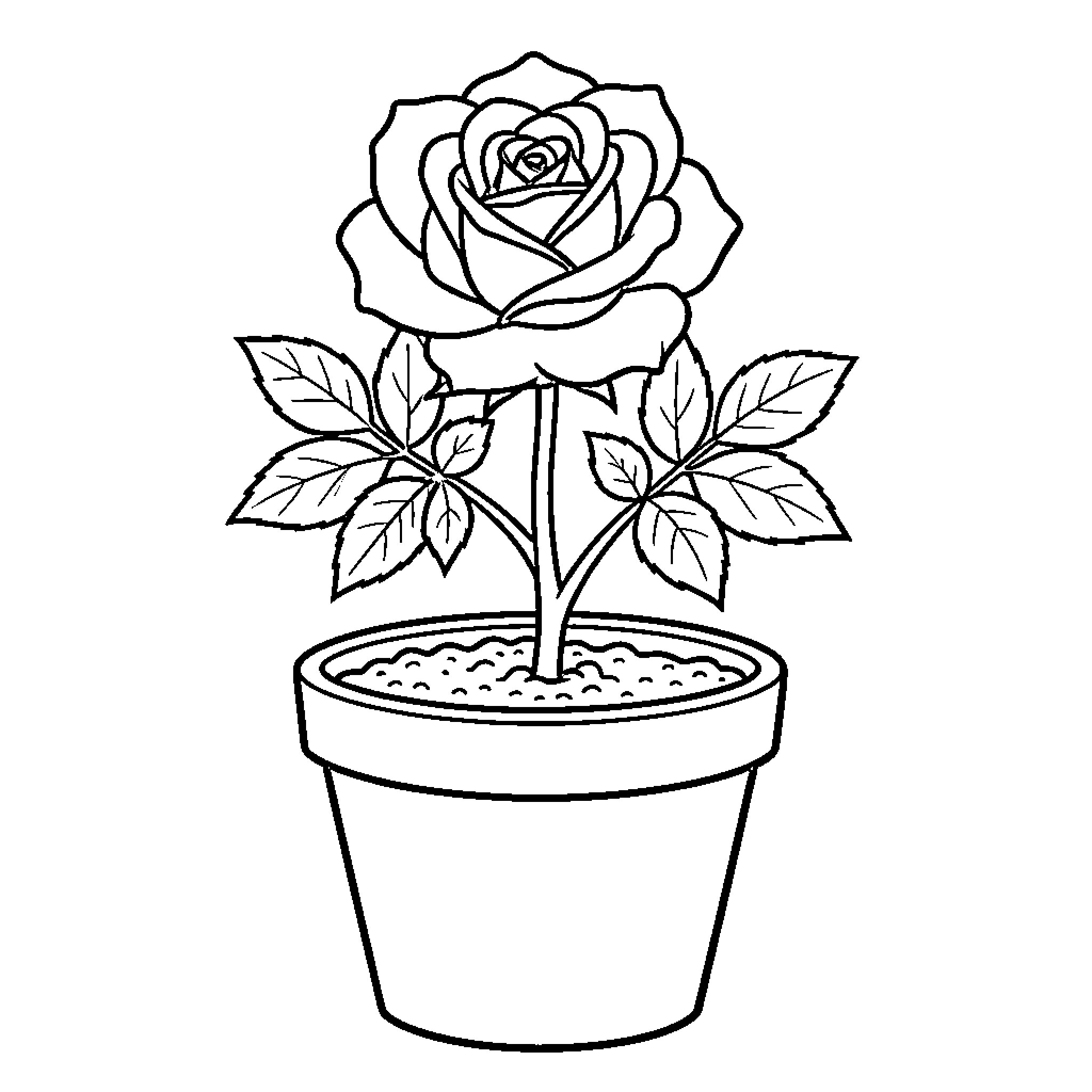 Rose blooming beautifully in a ceramic pot Coloring Page (free black-and-white line drawing printable PDF for all, from beginners to advanced learners, including children, teens, adults, and seniors)