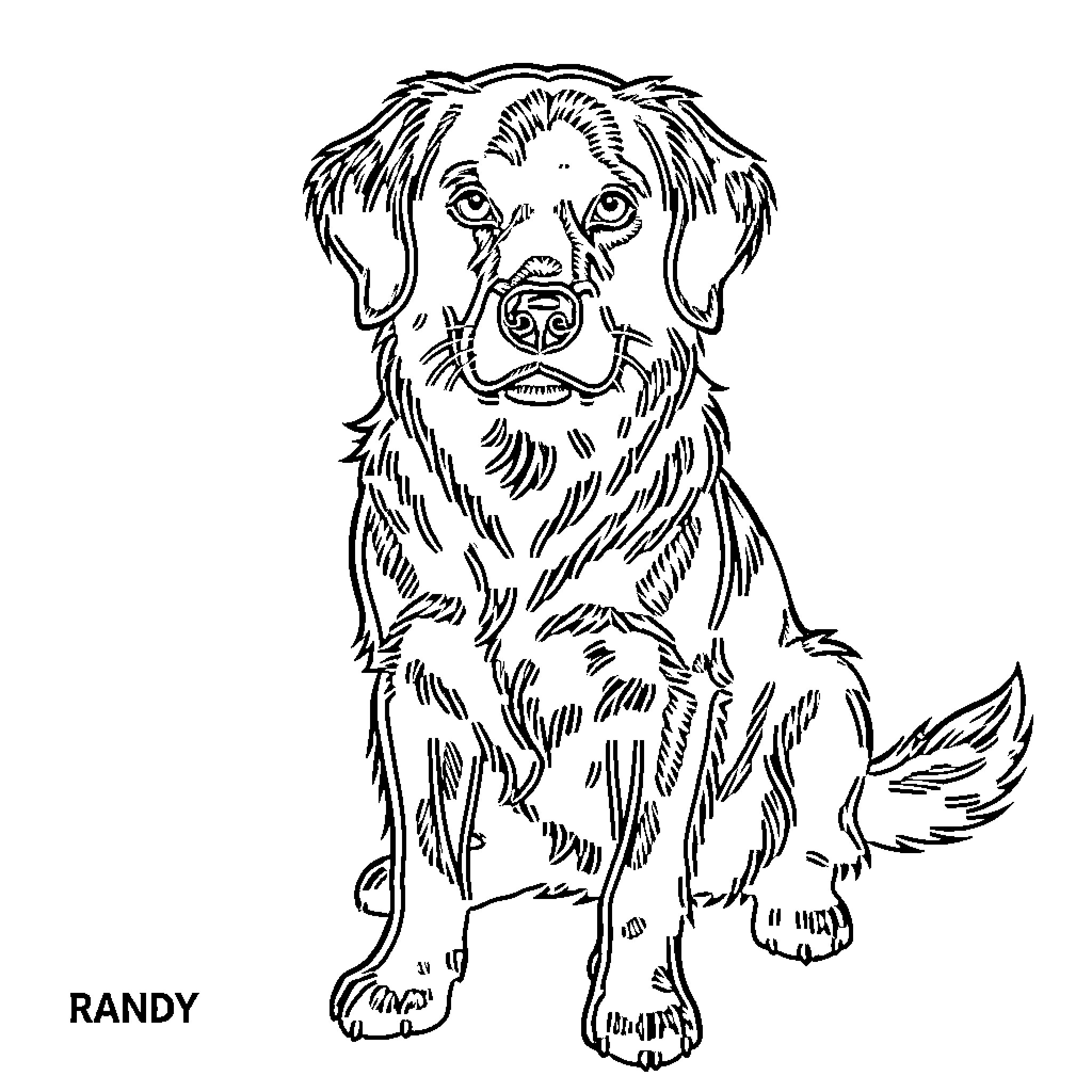 Randy, the friendly-looking dog Coloring Page (free black-and-white line drawing printable PDF for all, from beginners to advanced learners, including children, teens, adults, and seniors)