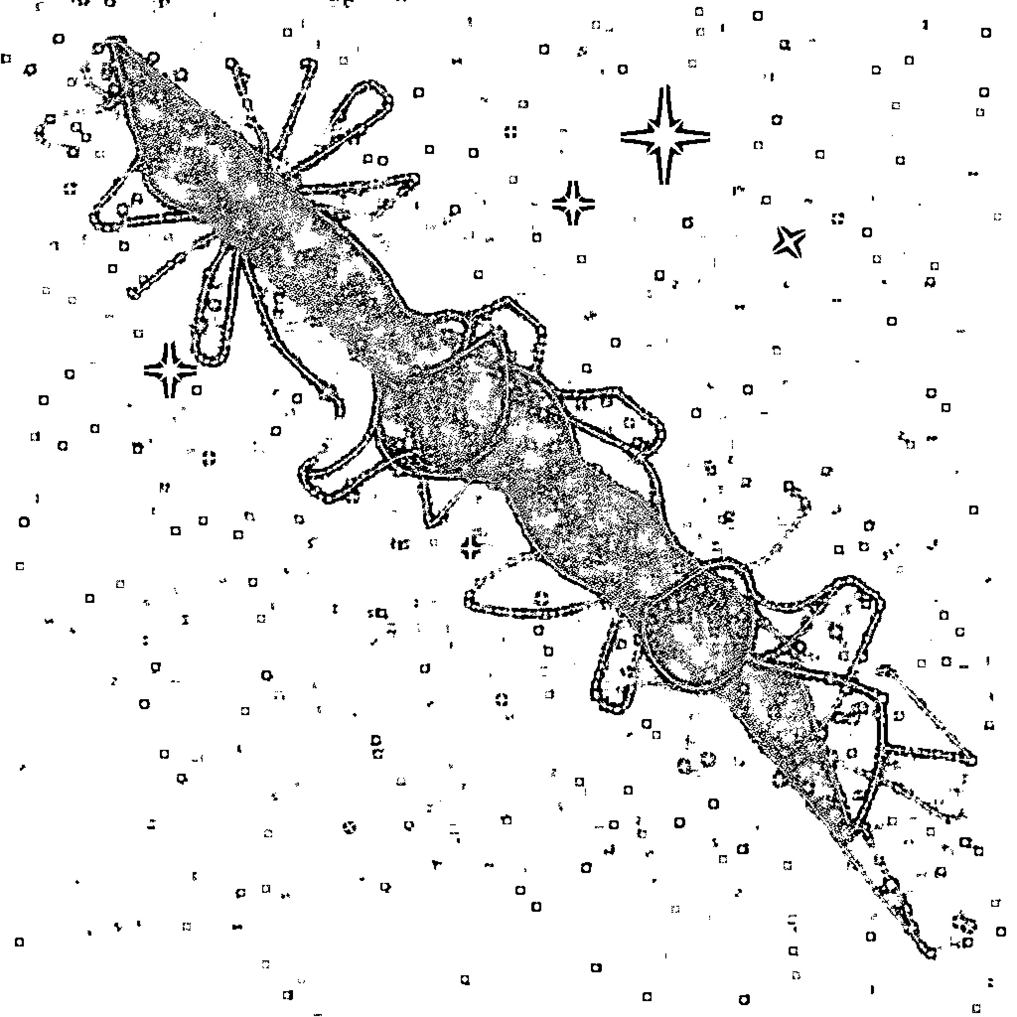 Space Creature Soaring Amongst Stars Coloring Page (free black-and-white line drawing printable PDF for all, from beginners to advanced learners, including children, teens, adults, and seniors)
