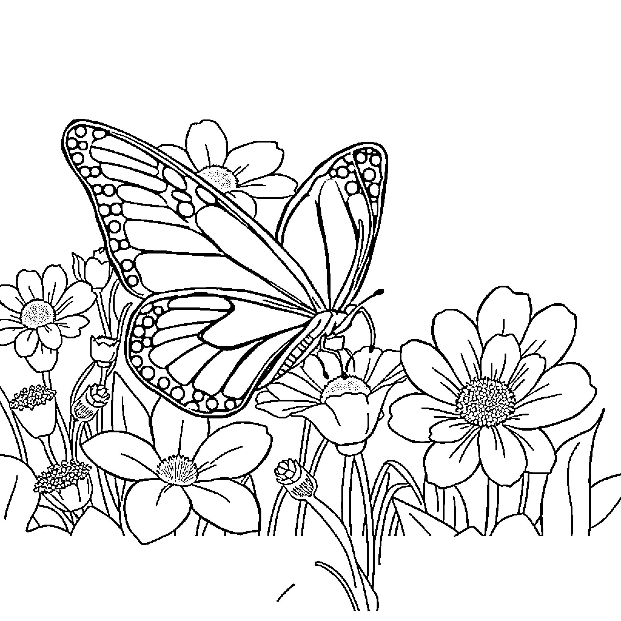 Butterfly among blooming flowers Coloring Page (free black-and-white line drawing printable PDF for all, from beginners to advanced learners, including children, teens, adults, and seniors)