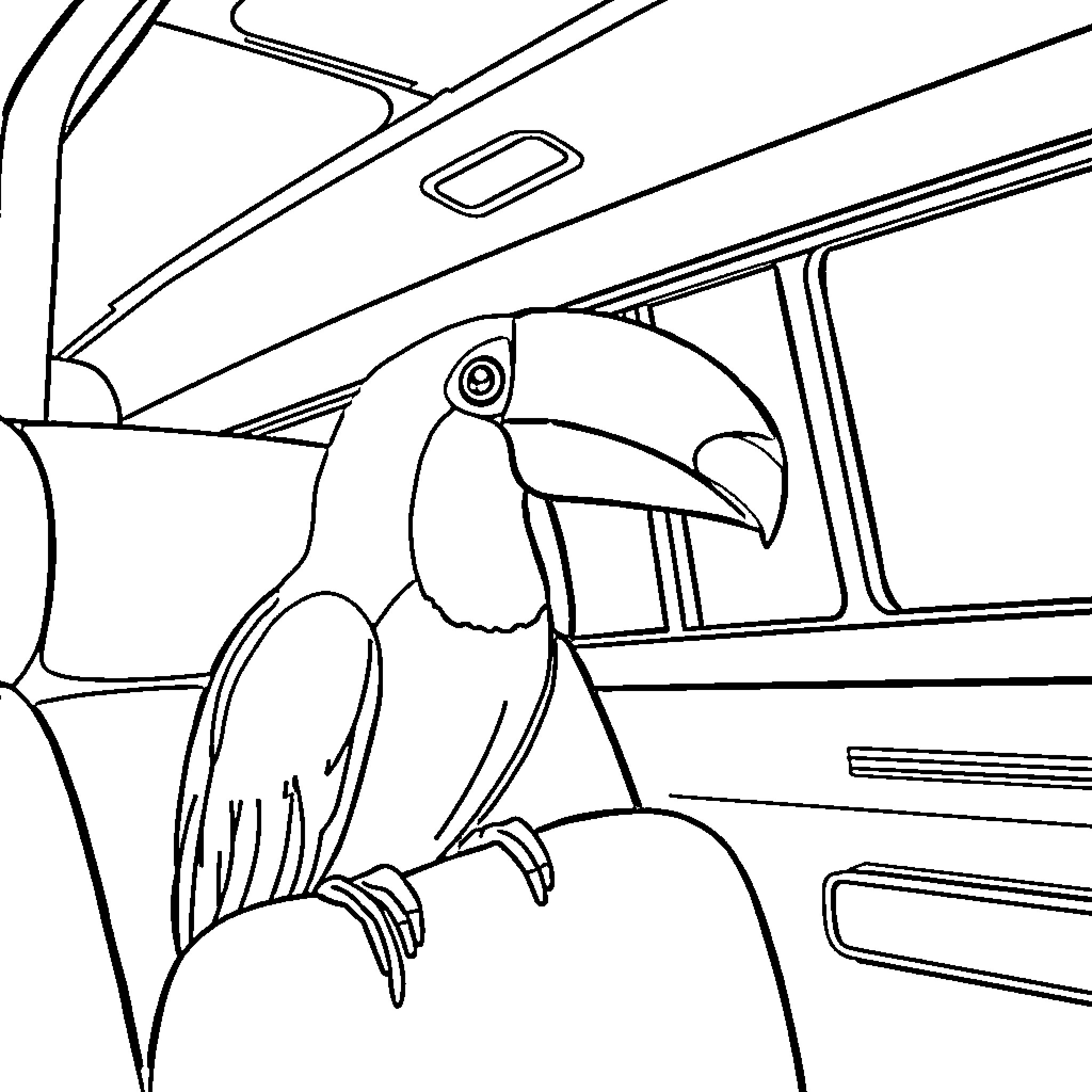 Toucan perched in a vehicle interior Coloring Page (free black-and-white line drawing printable PDF for all, from beginners to advanced learners, including children, teens, adults, and seniors)
