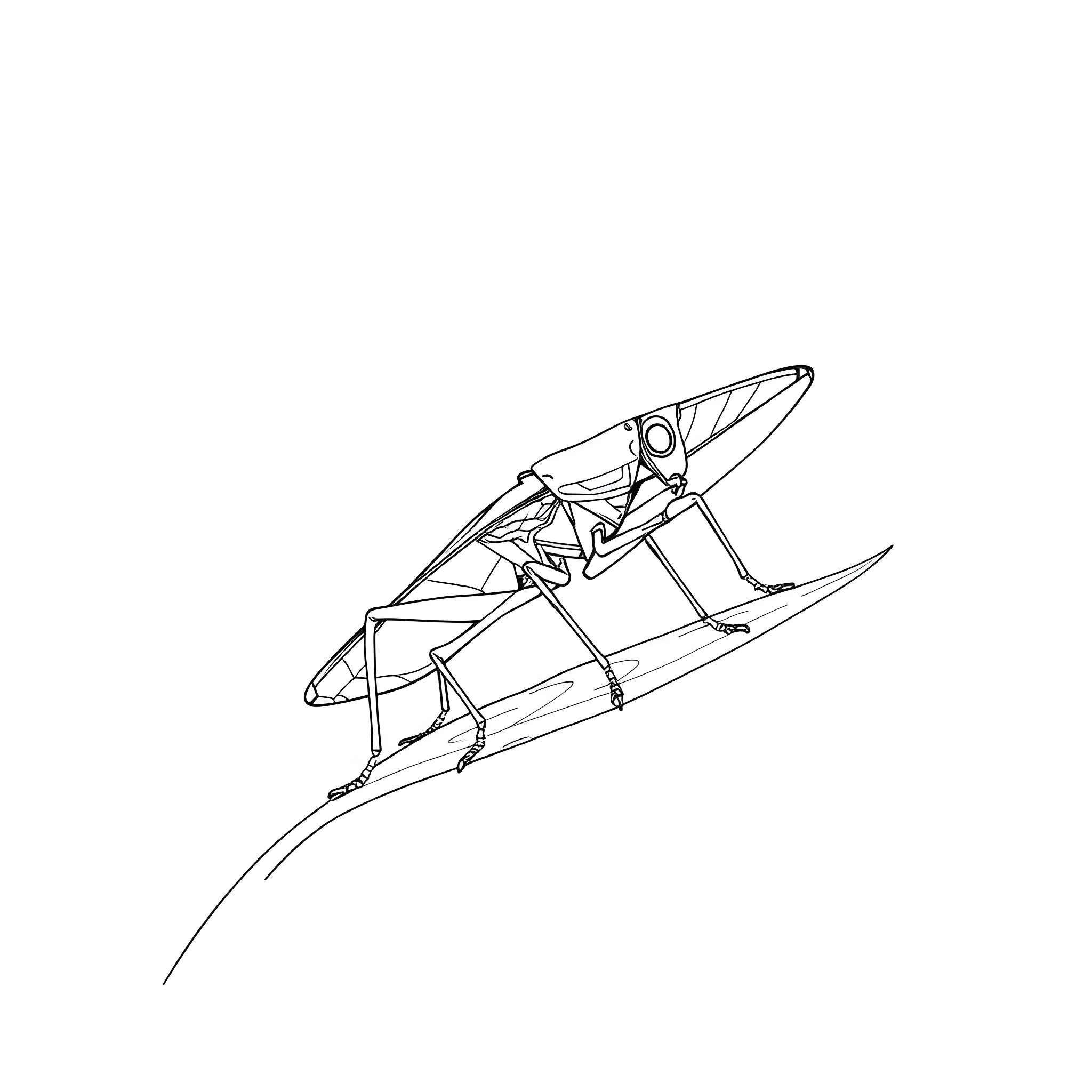 Katydid insect on a branch Coloring Page (free black-and-white line drawing printable PDF for all, from beginners to advanced learners, including children, teens, adults, and seniors)