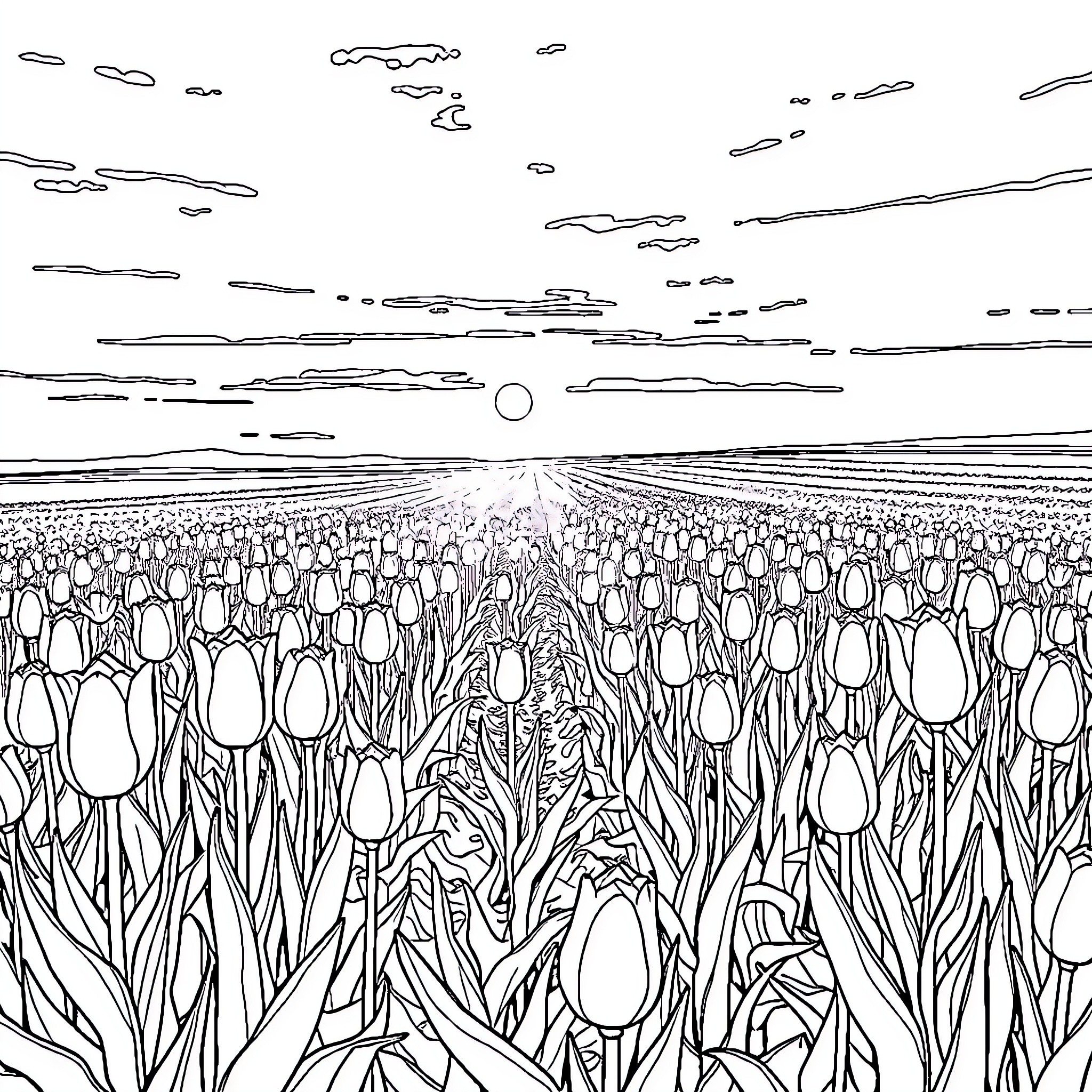 Tulips blooming in an expansive field Coloring Page (free black-and-white line drawing printable PDF for all, from beginners to advanced learners, including children, teens, adults, and seniors)