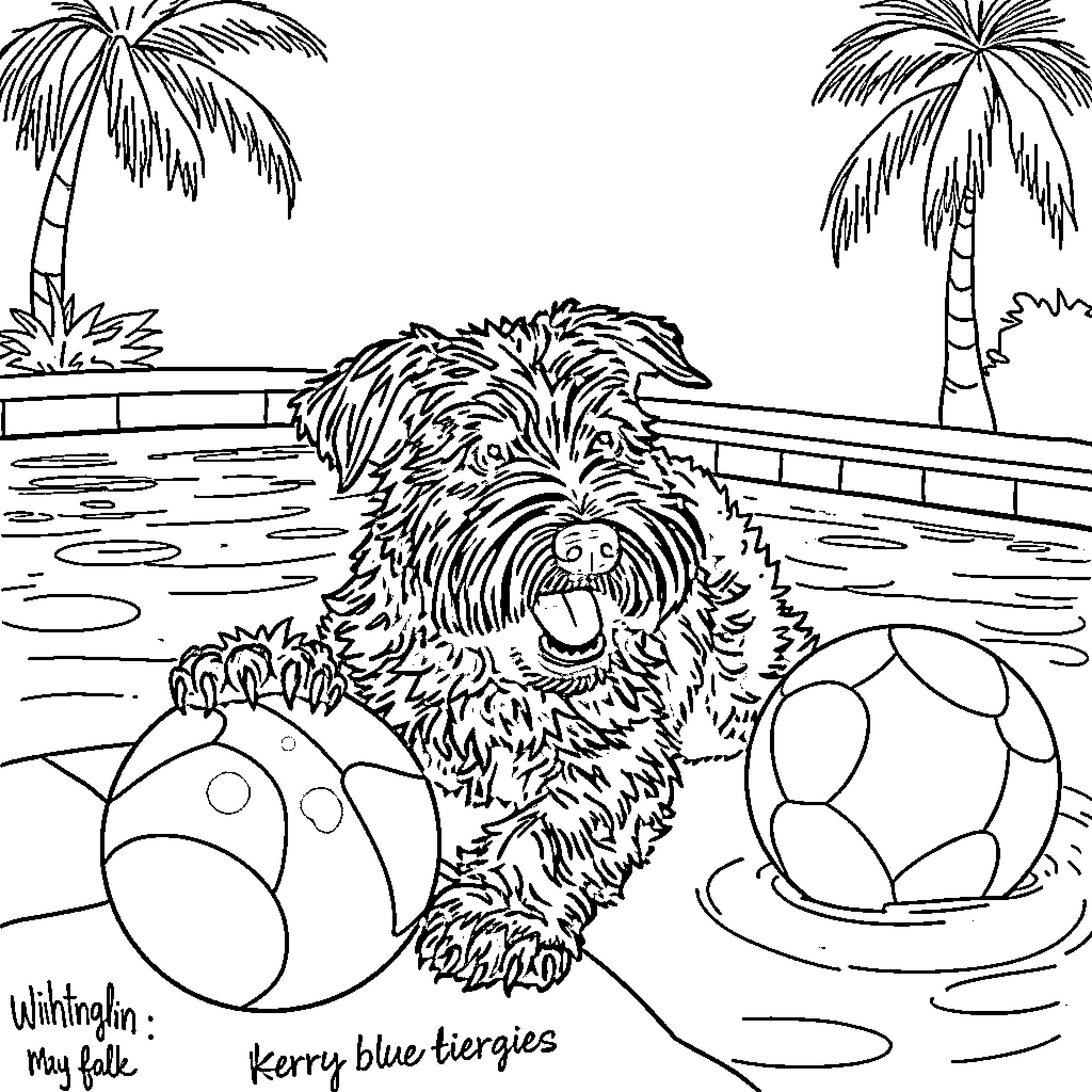 Kerry Blue Terrier playing in the pool with beach balls Coloring Page (free black-and-white line drawing printable PDF for all, from beginners to advanced learners, including children, teens, adults, and seniors)