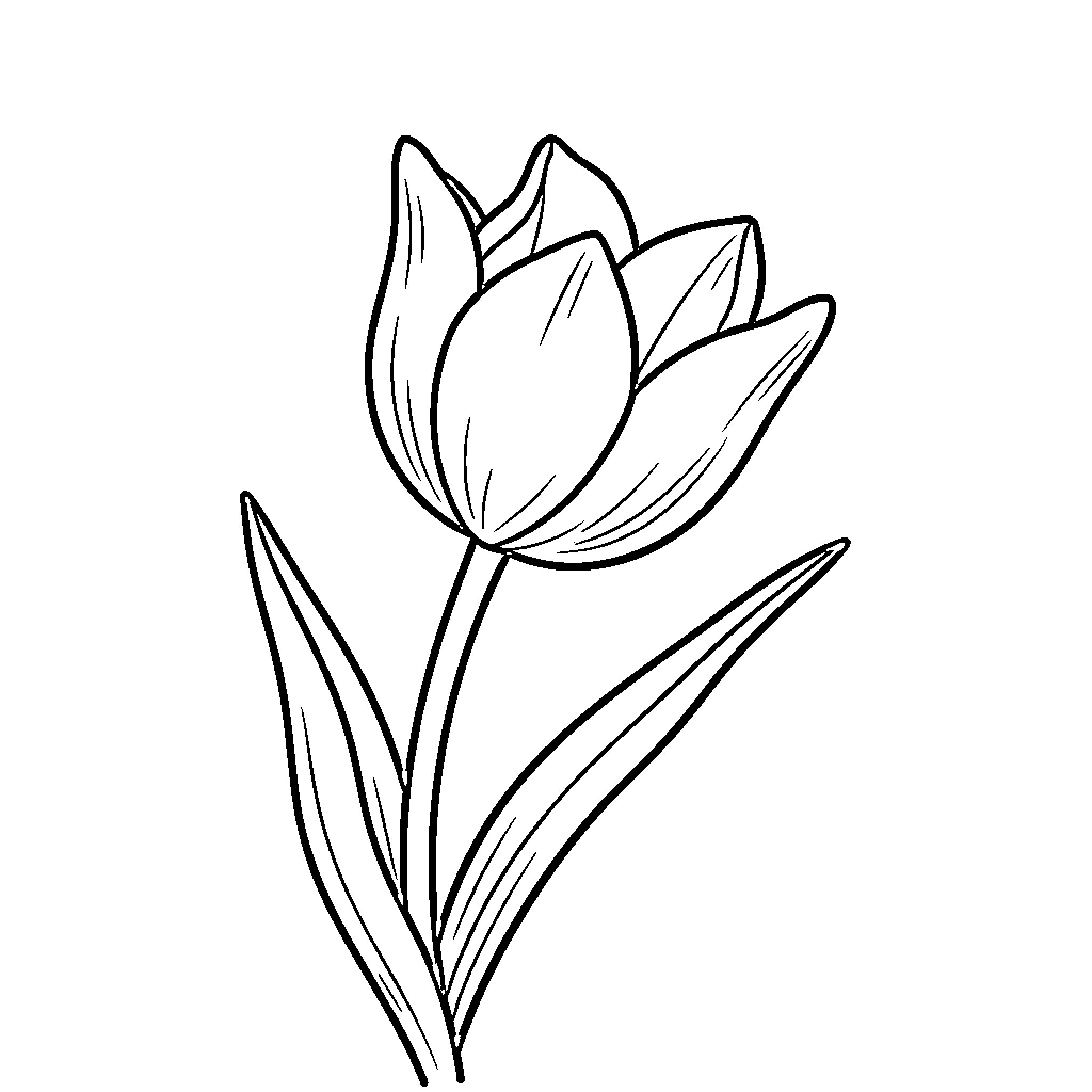 Tulip flower in simple line art Coloring Page (free black-and-white line drawing printable PDF for all, from beginners to advanced learners, including children, teens, adults, and seniors)