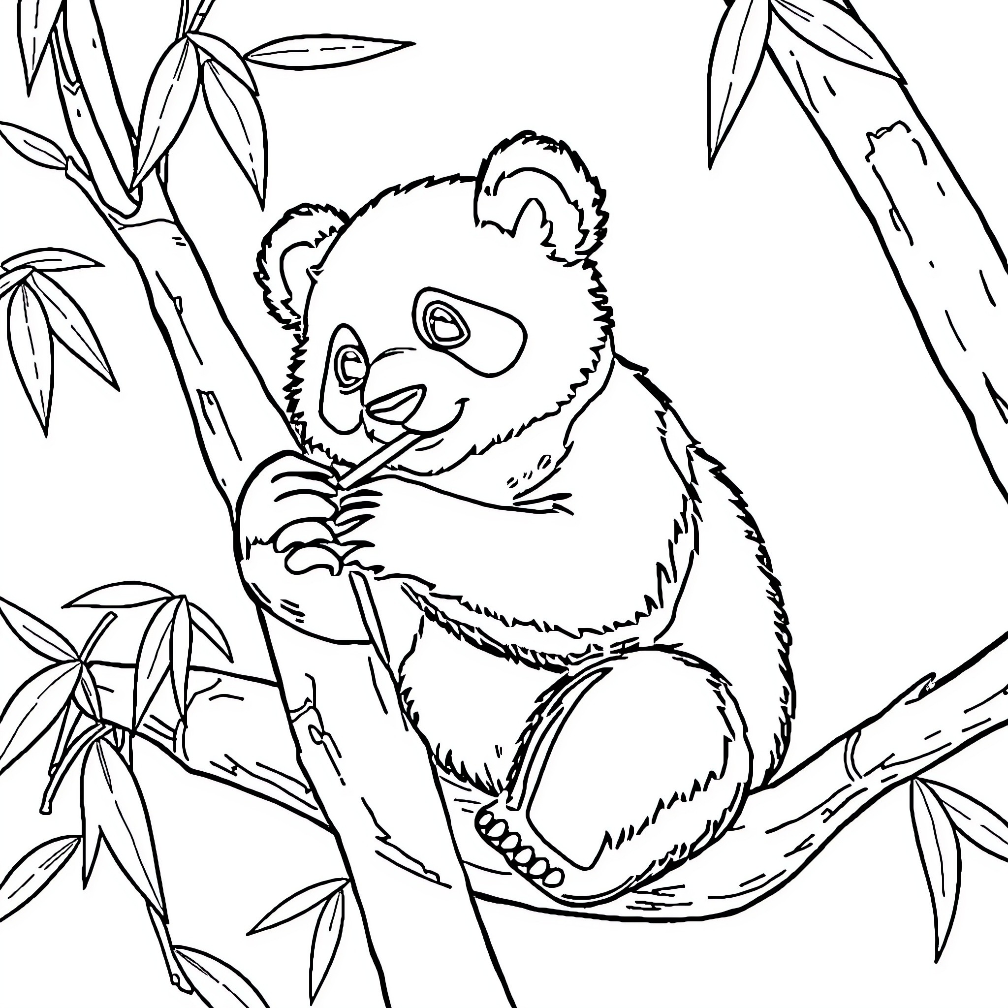 Panda resting peacefully in bamboo forest Coloring Page (free black-and-white line drawing printable PDF for all, from beginners to advanced learners, including children, teens, adults, and seniors)