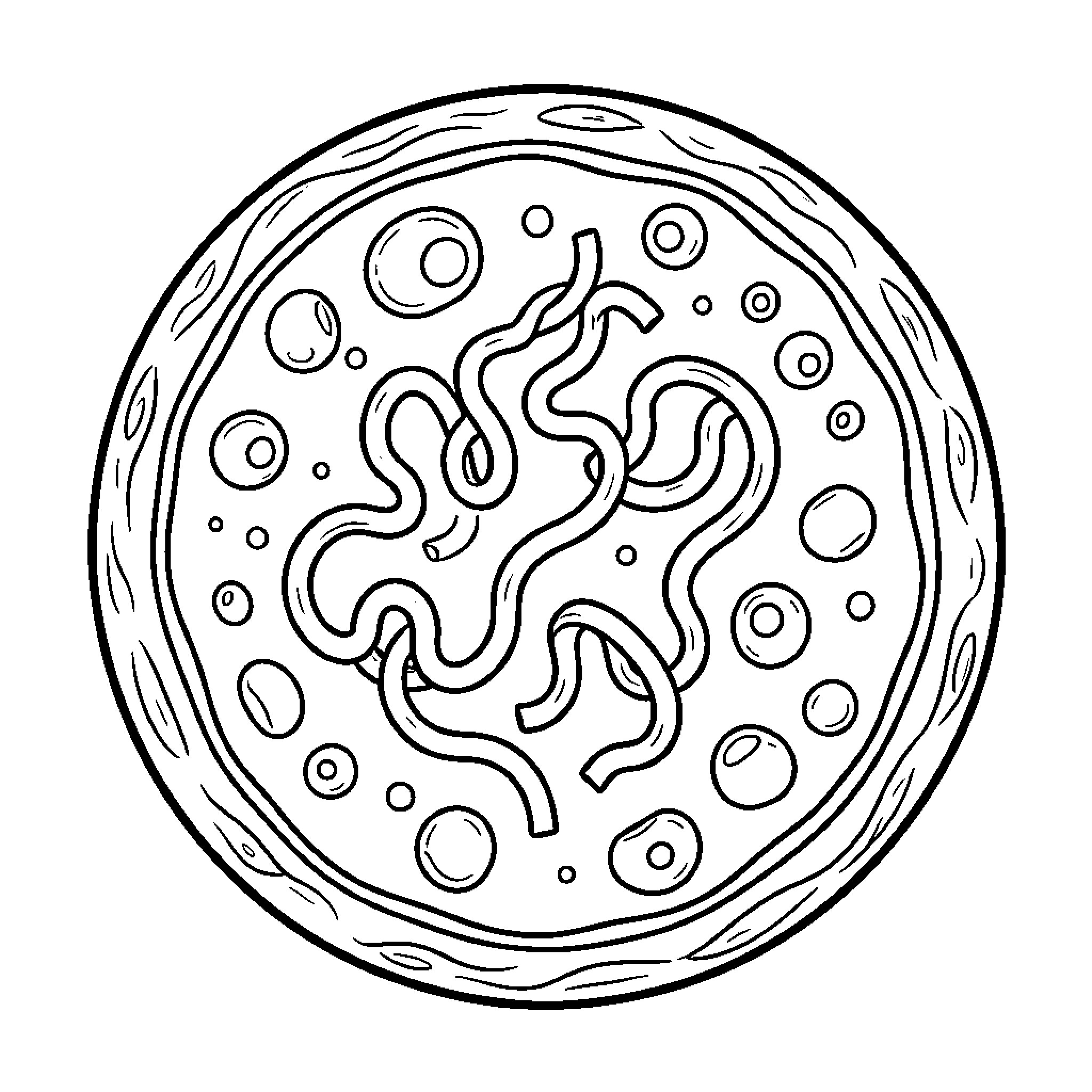 Prokaryotic Cell Showcasing Intricate Microscopic Structures Coloring Page (free black-and-white line drawing printable PDF for all, from beginners to advanced learners, including children, teens, adults, and seniors)