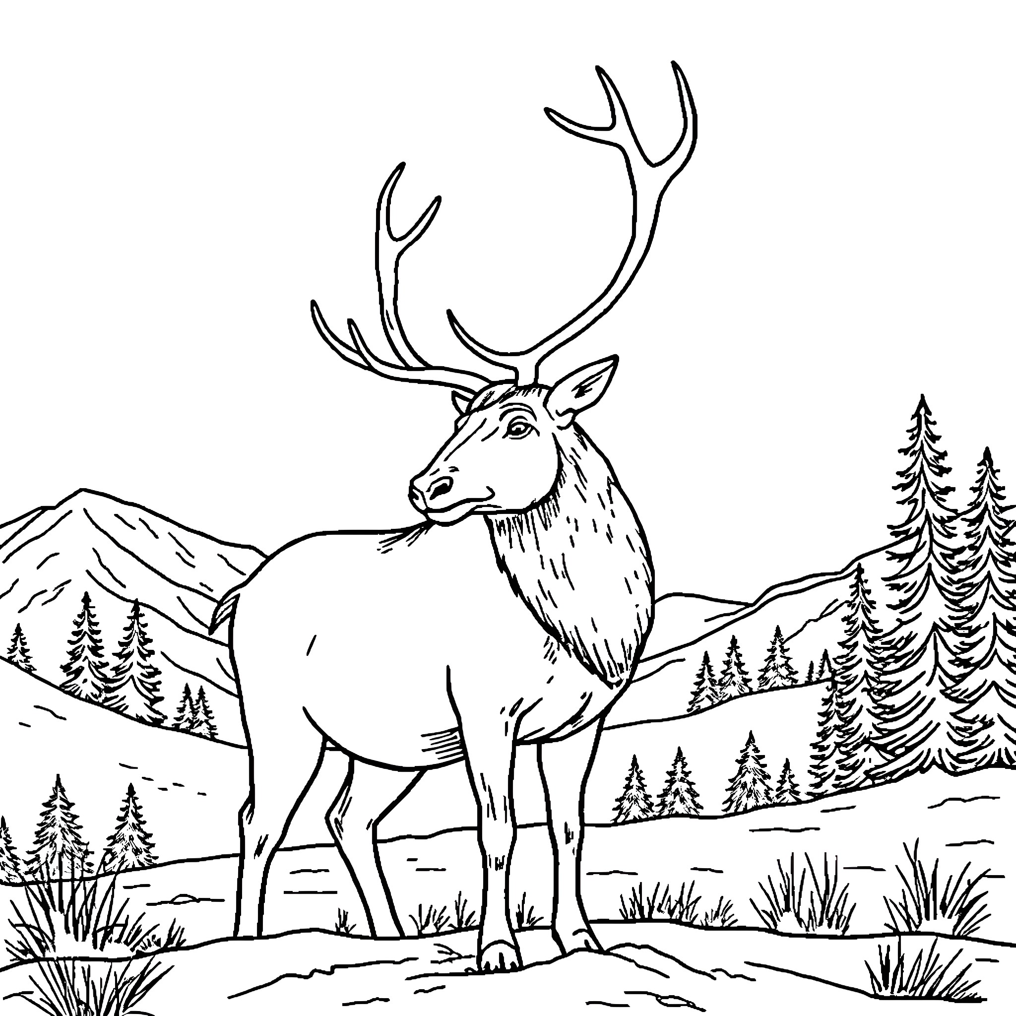 Caribou standing in the wilderness Coloring Page (free black-and-white line drawing printable PDF for all, from beginners to advanced learners, including children, teens, adults, and seniors)