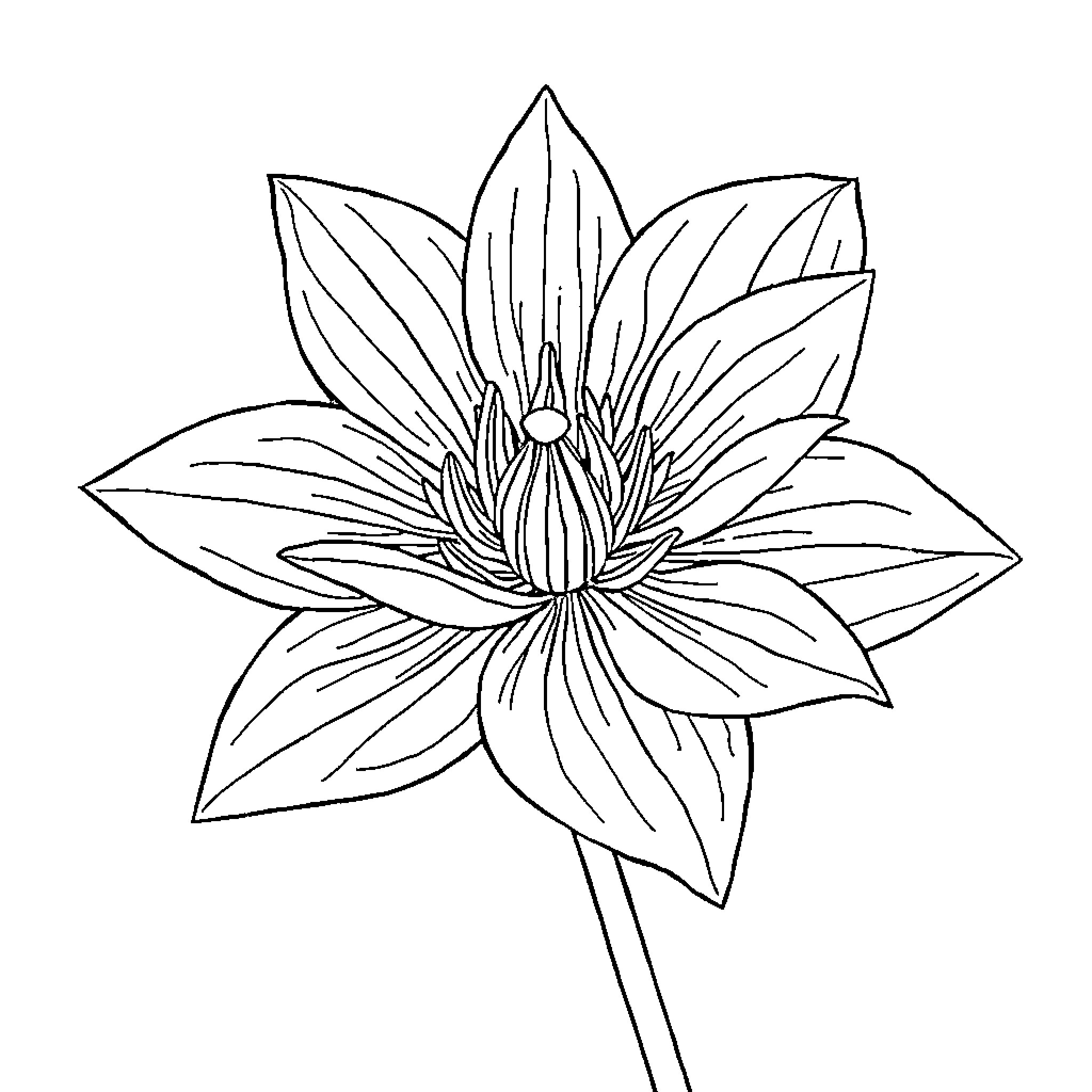 Lotus flower with detailed petals Coloring Page (free black-and-white line drawing printable PDF for all, from beginners to advanced learners, including children, teens, adults, and seniors)