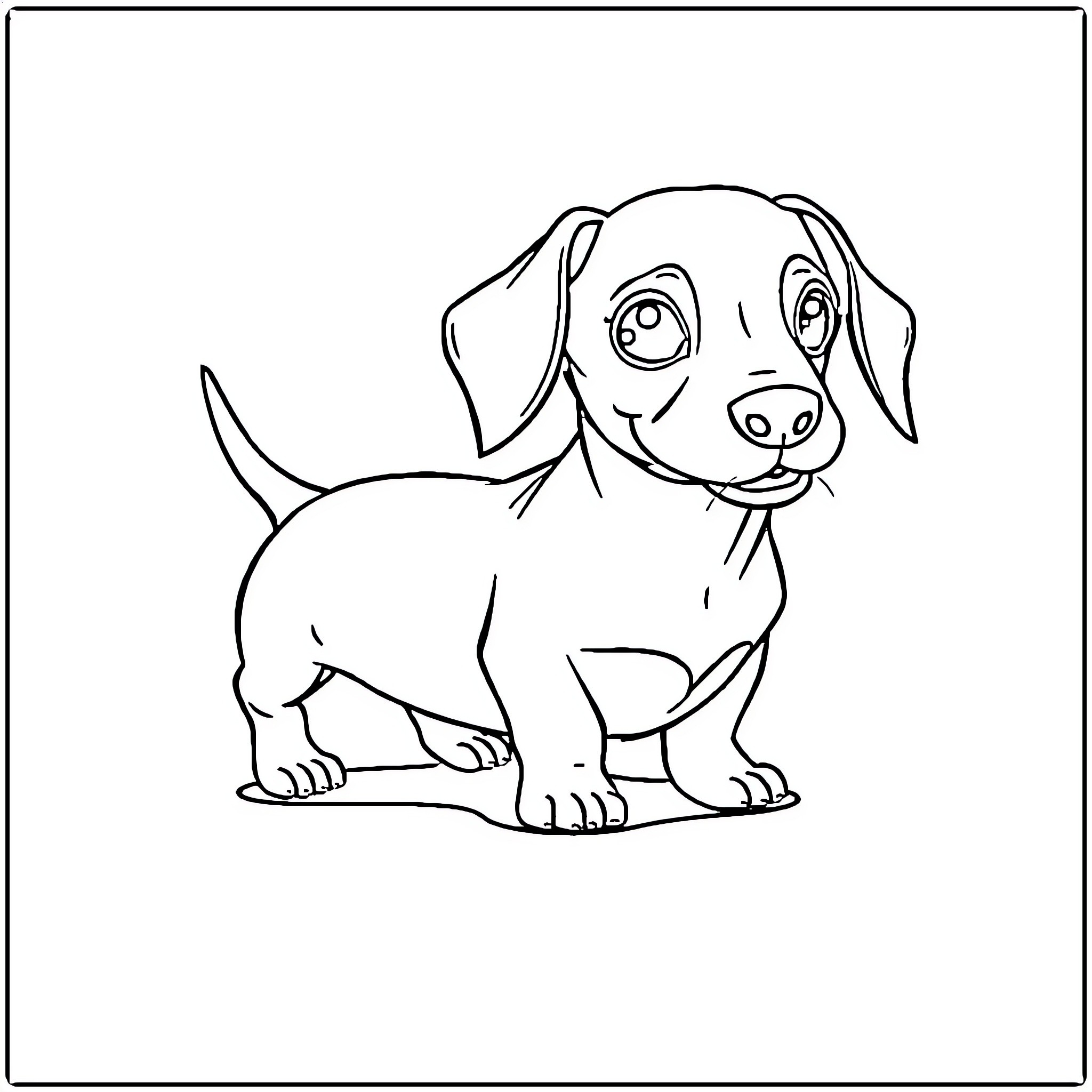 Dachshund puppy in a simple sketch Coloring Page (free black-and-white line drawing printable PDF for all, from beginners to advanced learners, including children, teens, adults, and seniors)