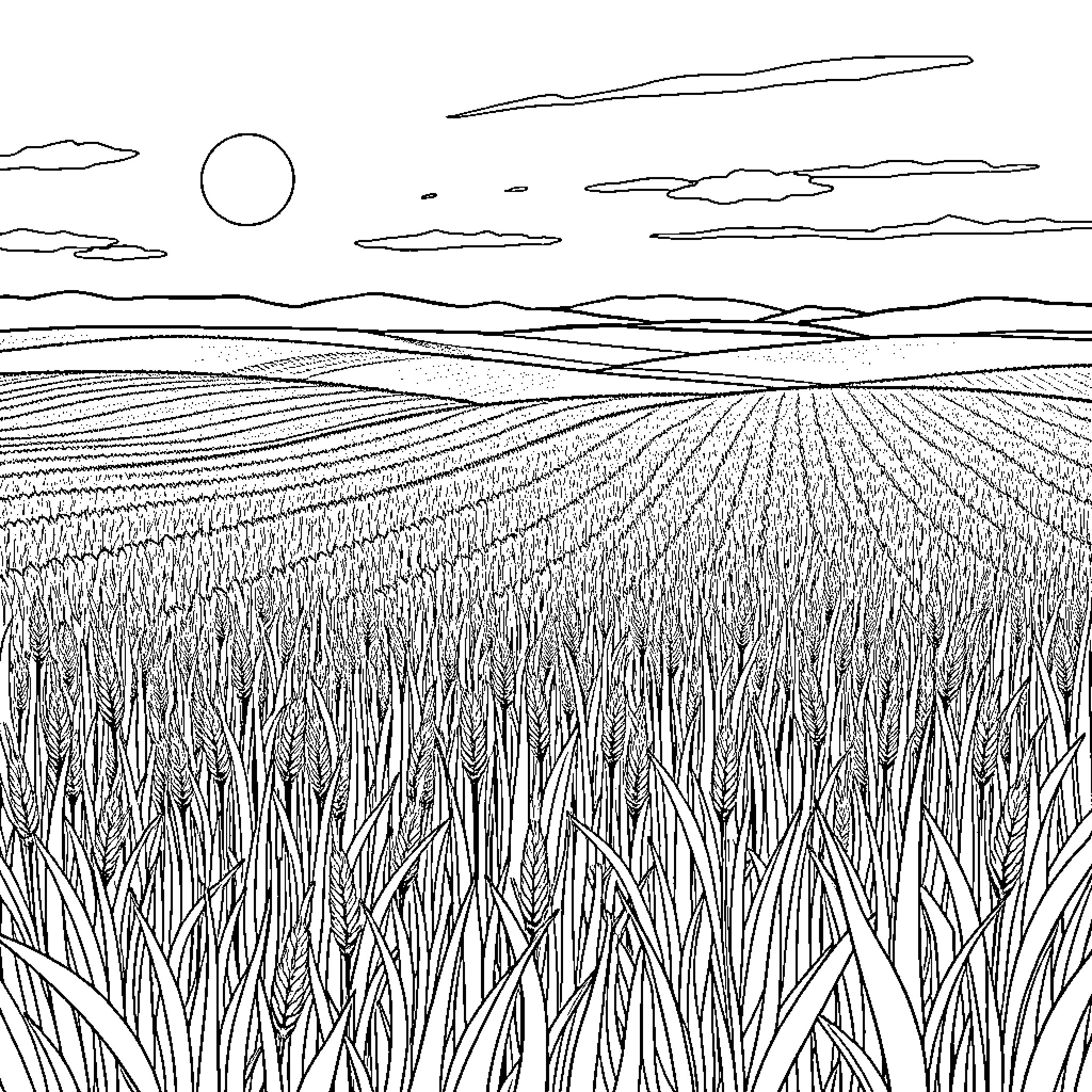 Farmers Field with Crop Rows Under Cloudy Sky Coloring Page (free black-and-white line drawing printable PDF for all, from beginners to advanced learners, including children, teens, adults, and seniors)